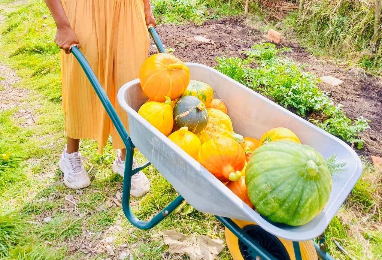 Be a part of the Harvest Festival!
