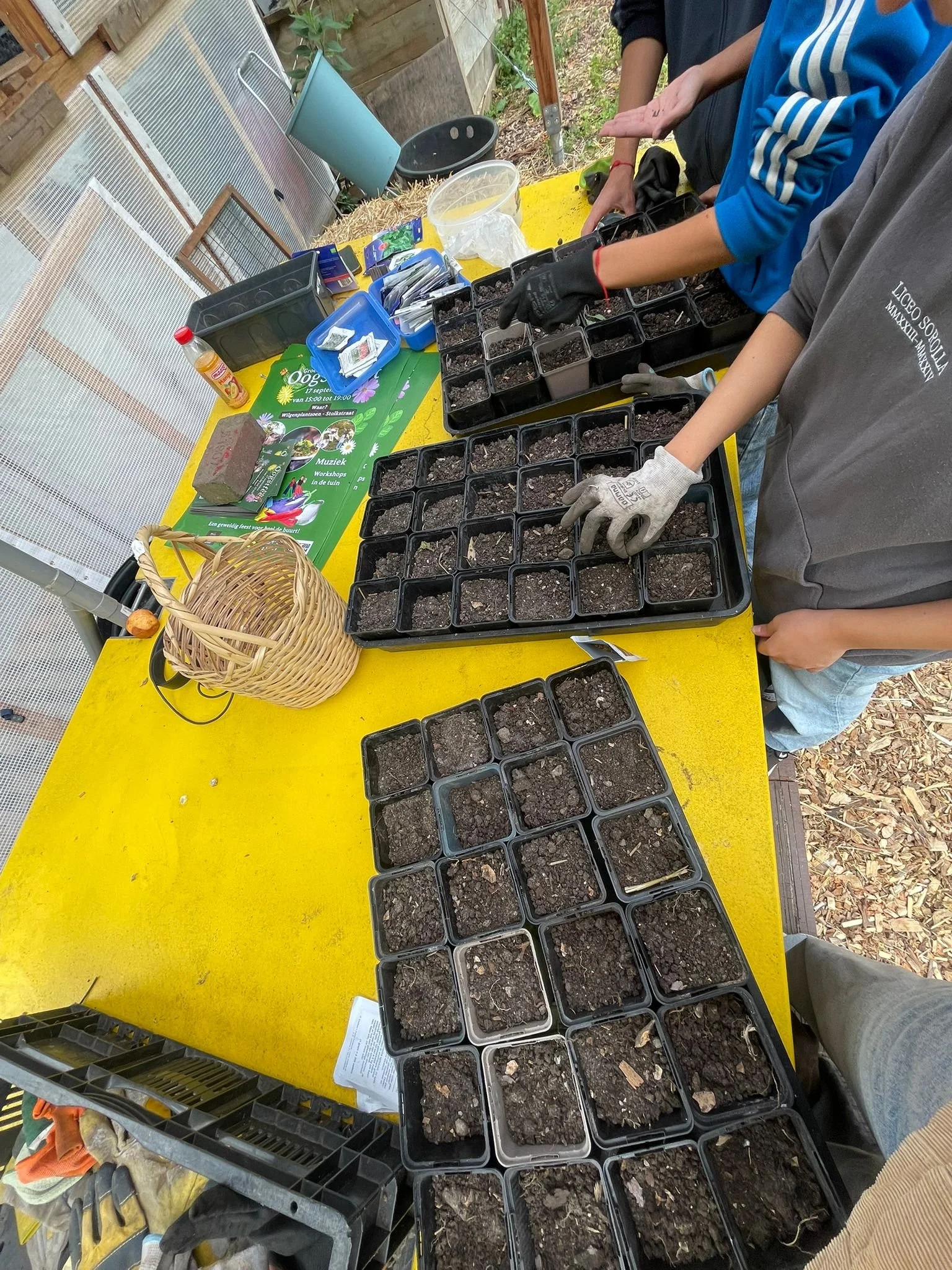 WhatsApp Image 2025-08-29 at 17.04.06.jpeg