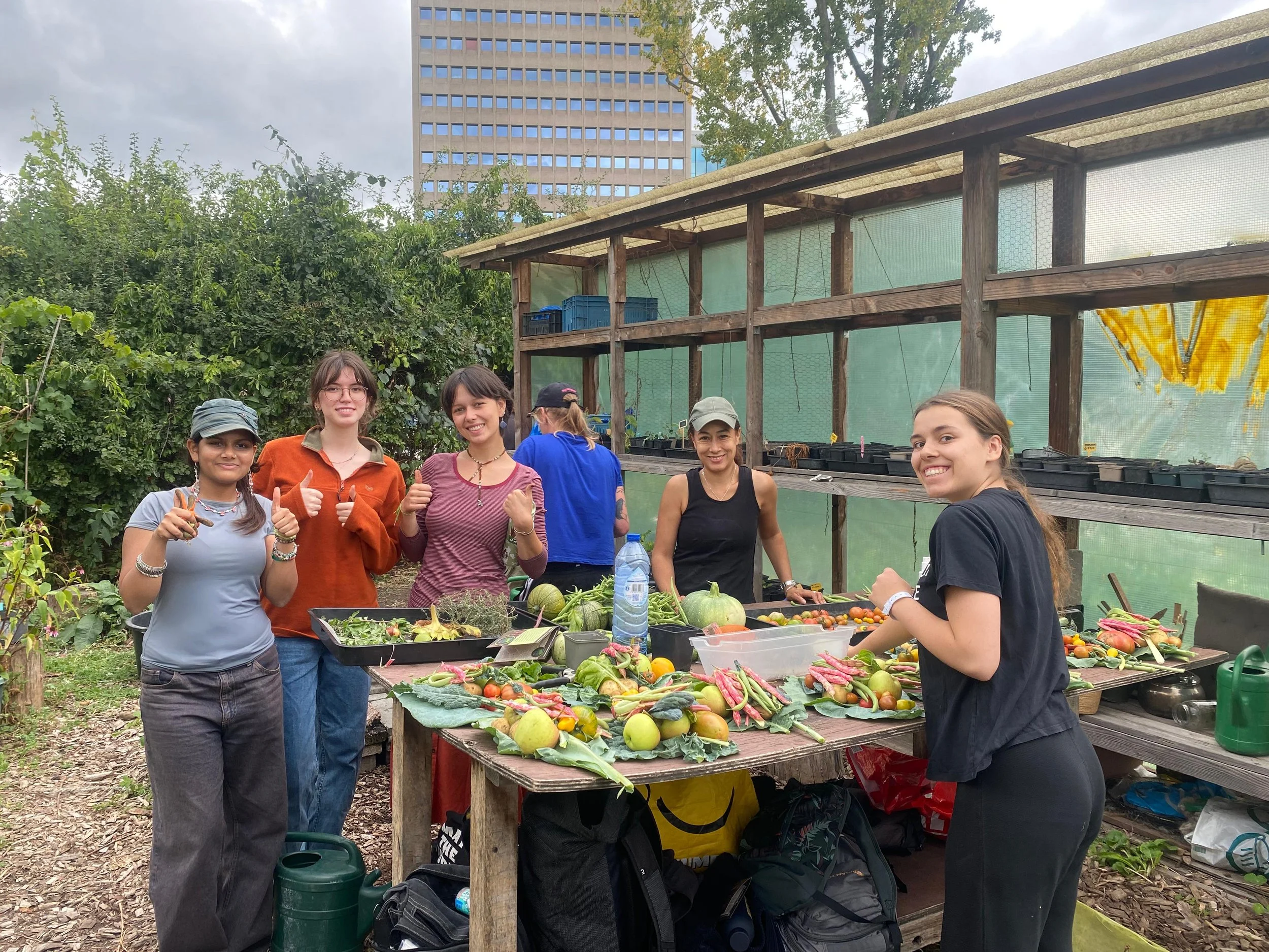 WhatsApp Image 2025-08-29 at 13.46.27.jpeg