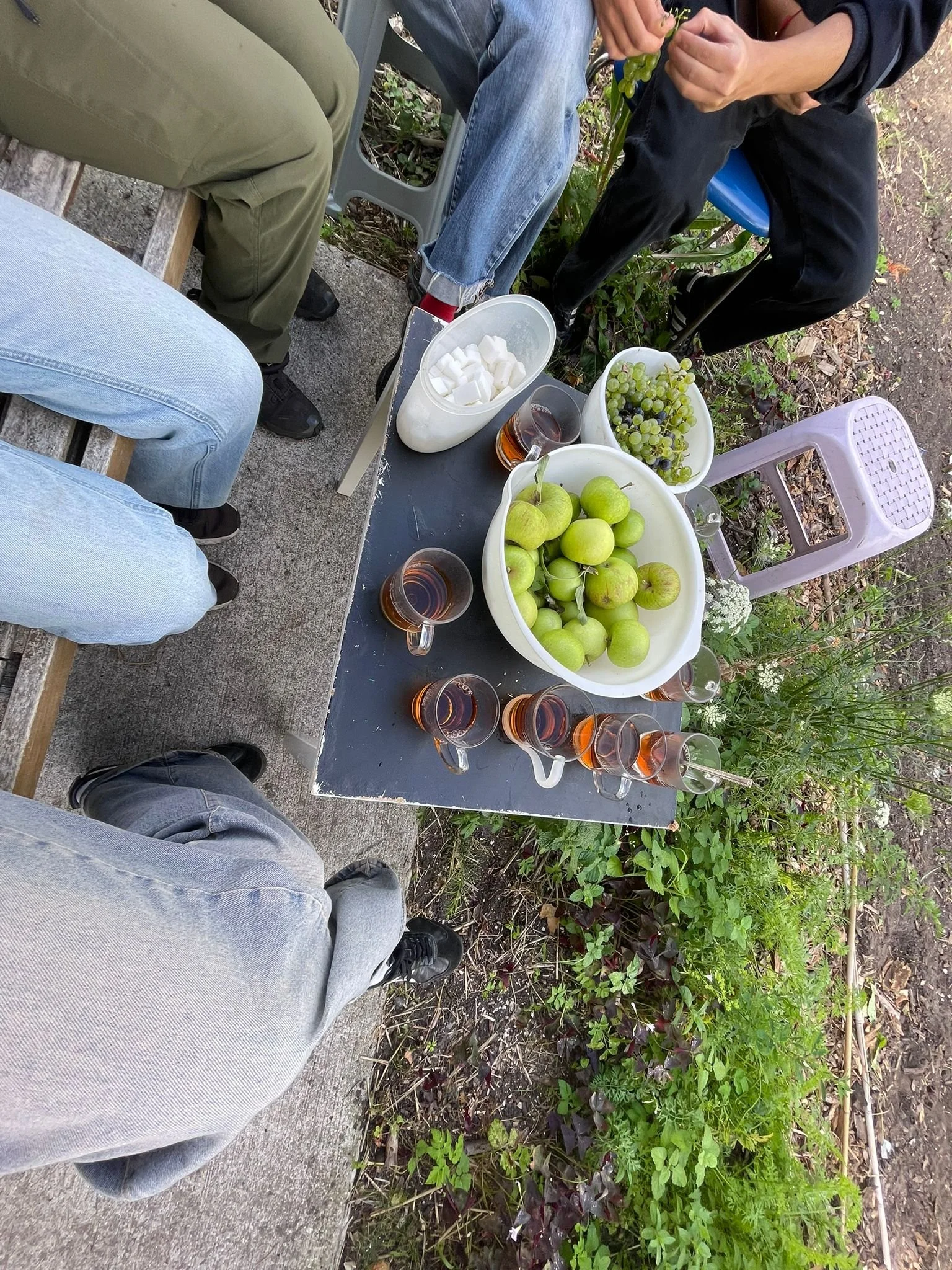 WhatsApp Image 2025-08-29 at 17.04.11.jpeg