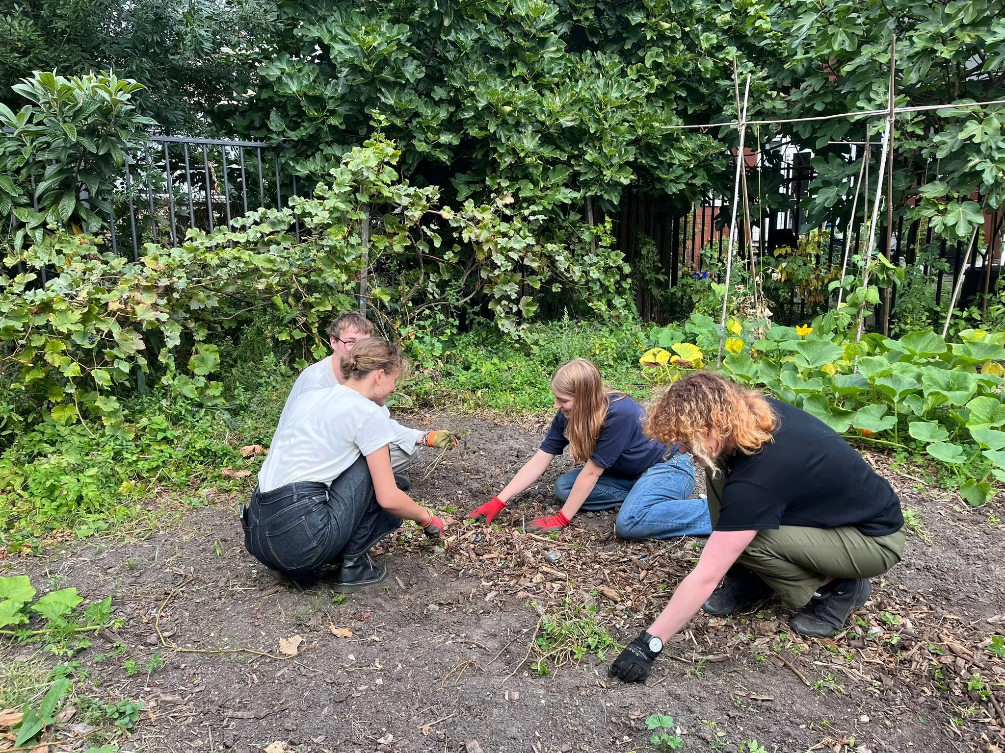 WhatsApp Image 2025-08-29 at 17.22.26.jpeg