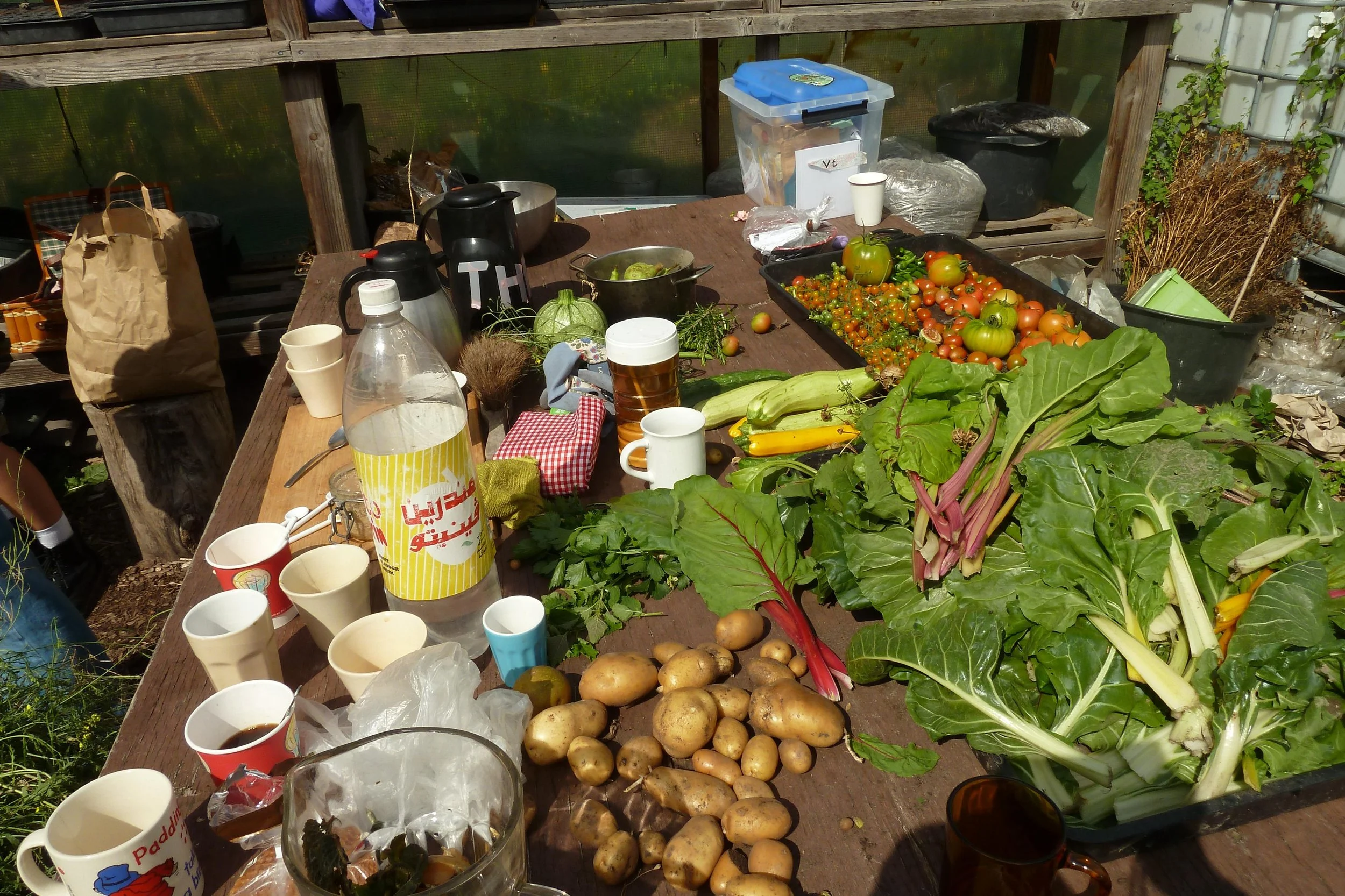 Come Community Gardening in Rotterdam this Sunday!