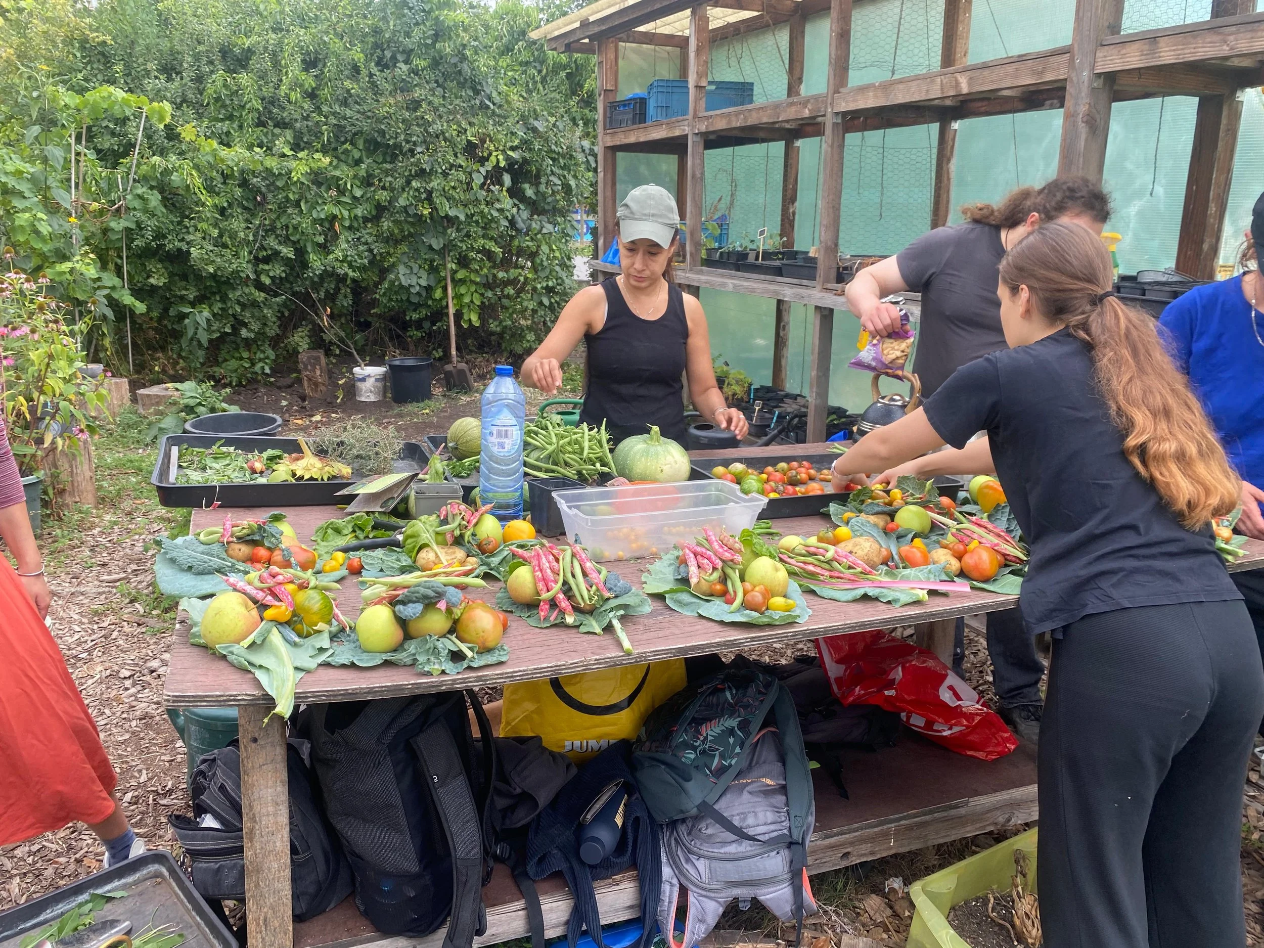 PHOTO-2025-08-29-13-46-28 2.jpg