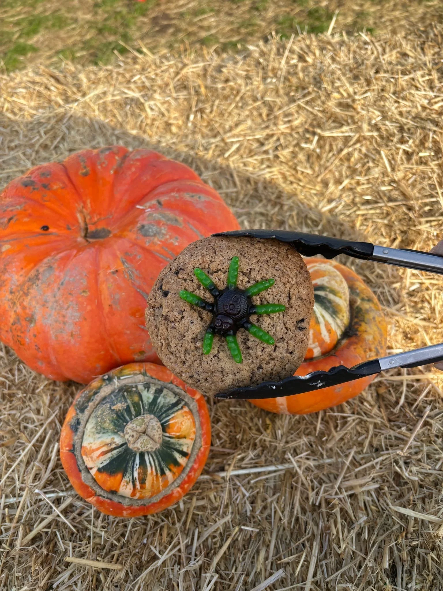 Halloween Bundle includes x6 Cookies (Collection Only)