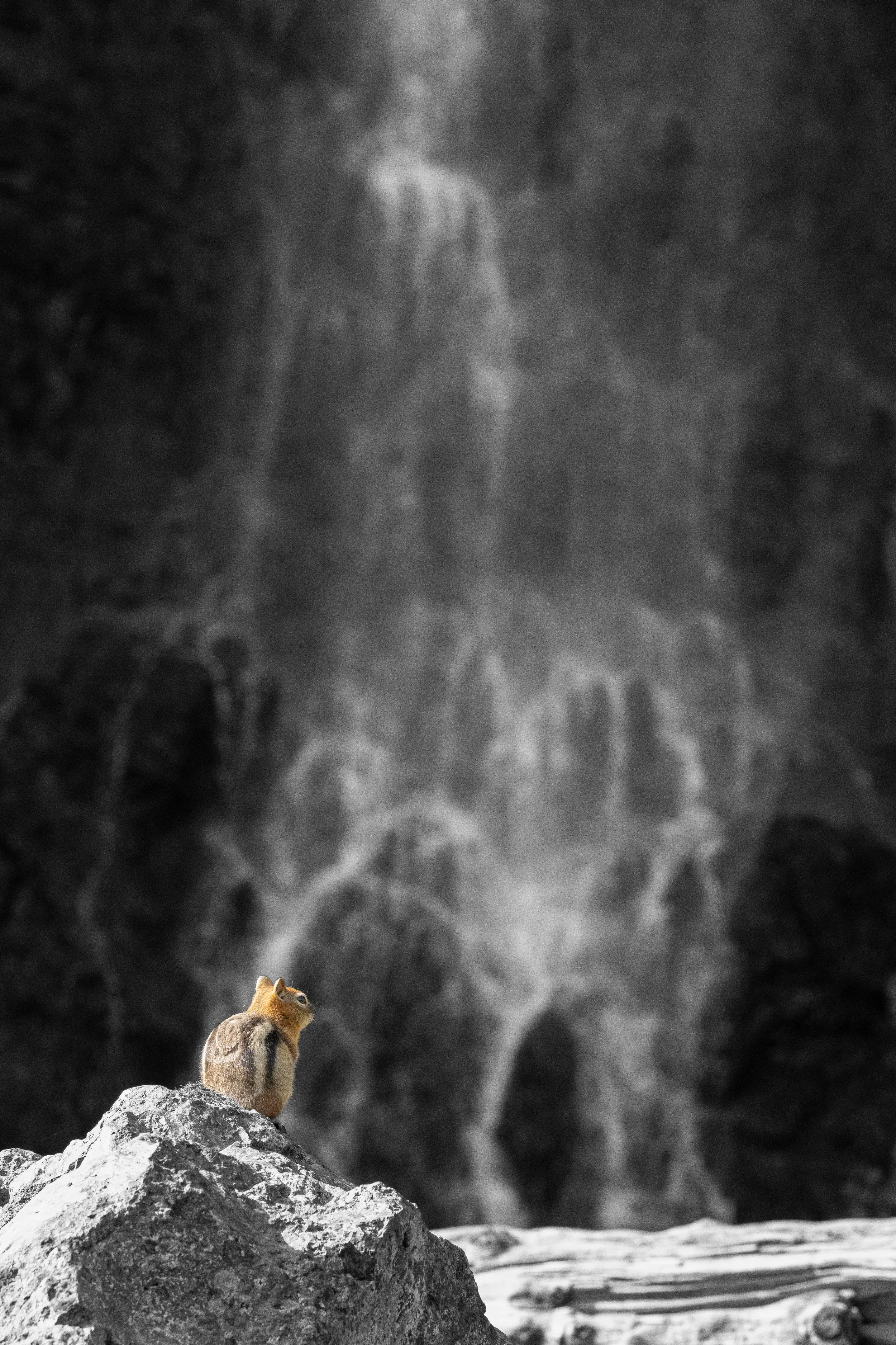 Watching the Waterfall