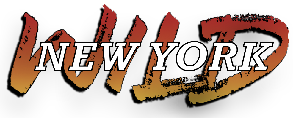 Wild New York