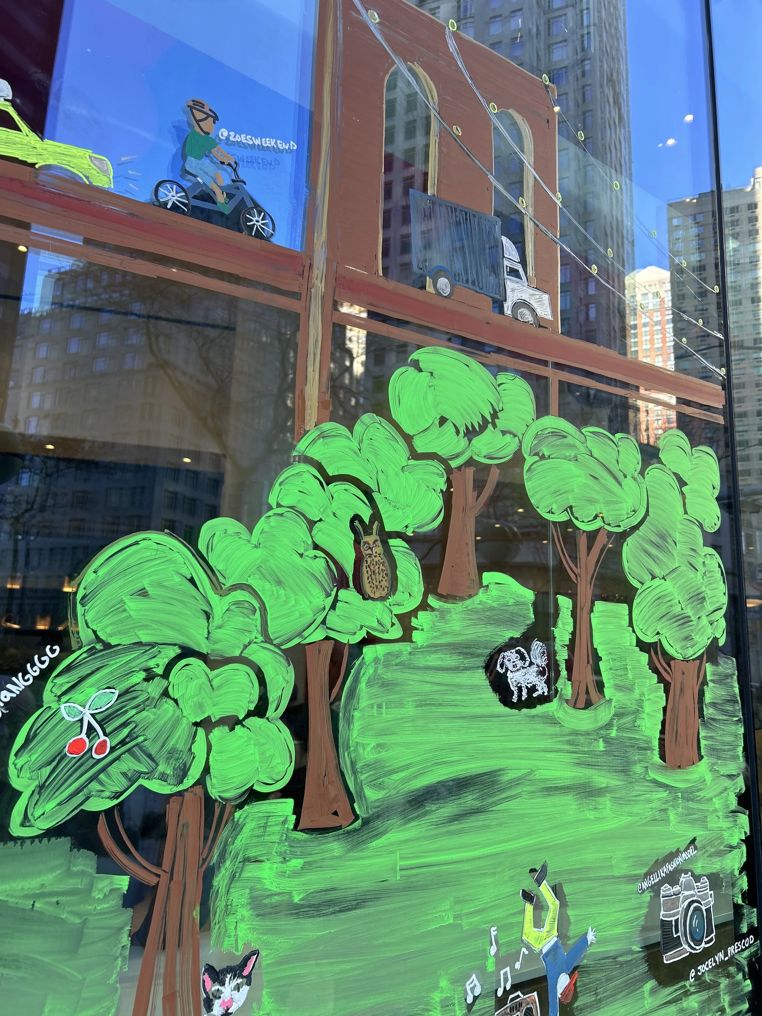 Capitol One Bank.jpg
