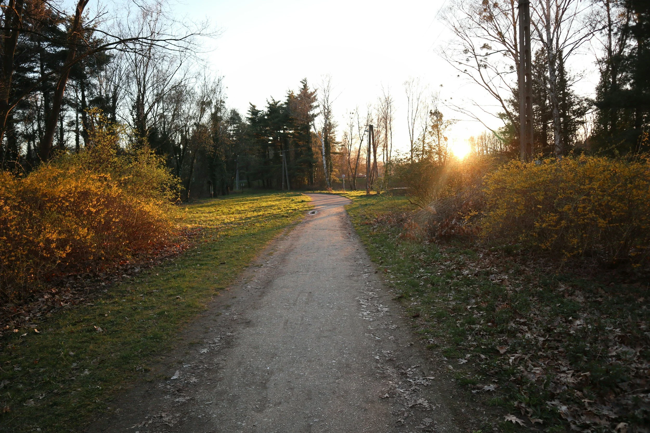 A dirt path winds through a park with trees and bushes, as the sun sets in the distance, casting a warm glow.