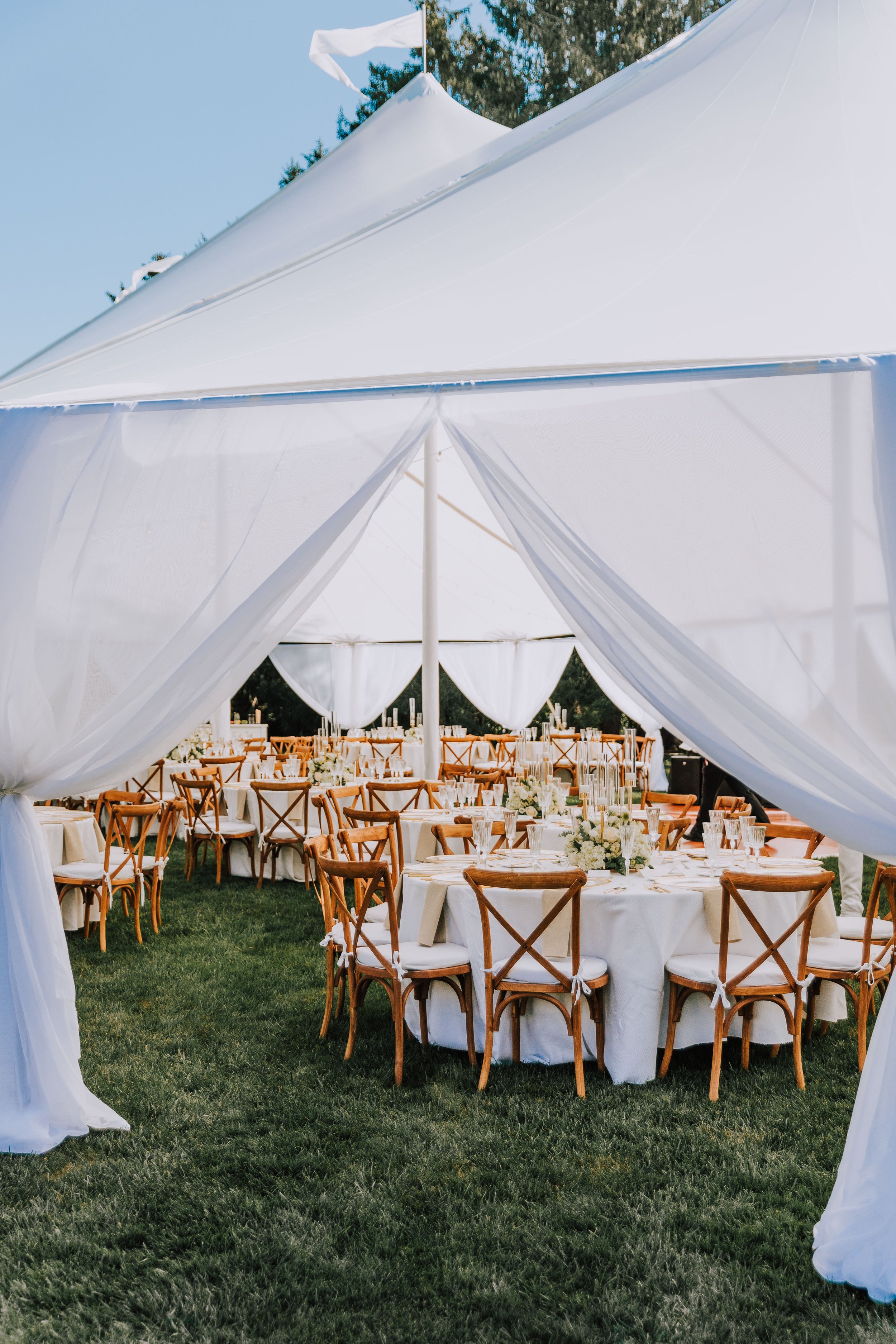 Private Estate Wedding with Draping.jpg