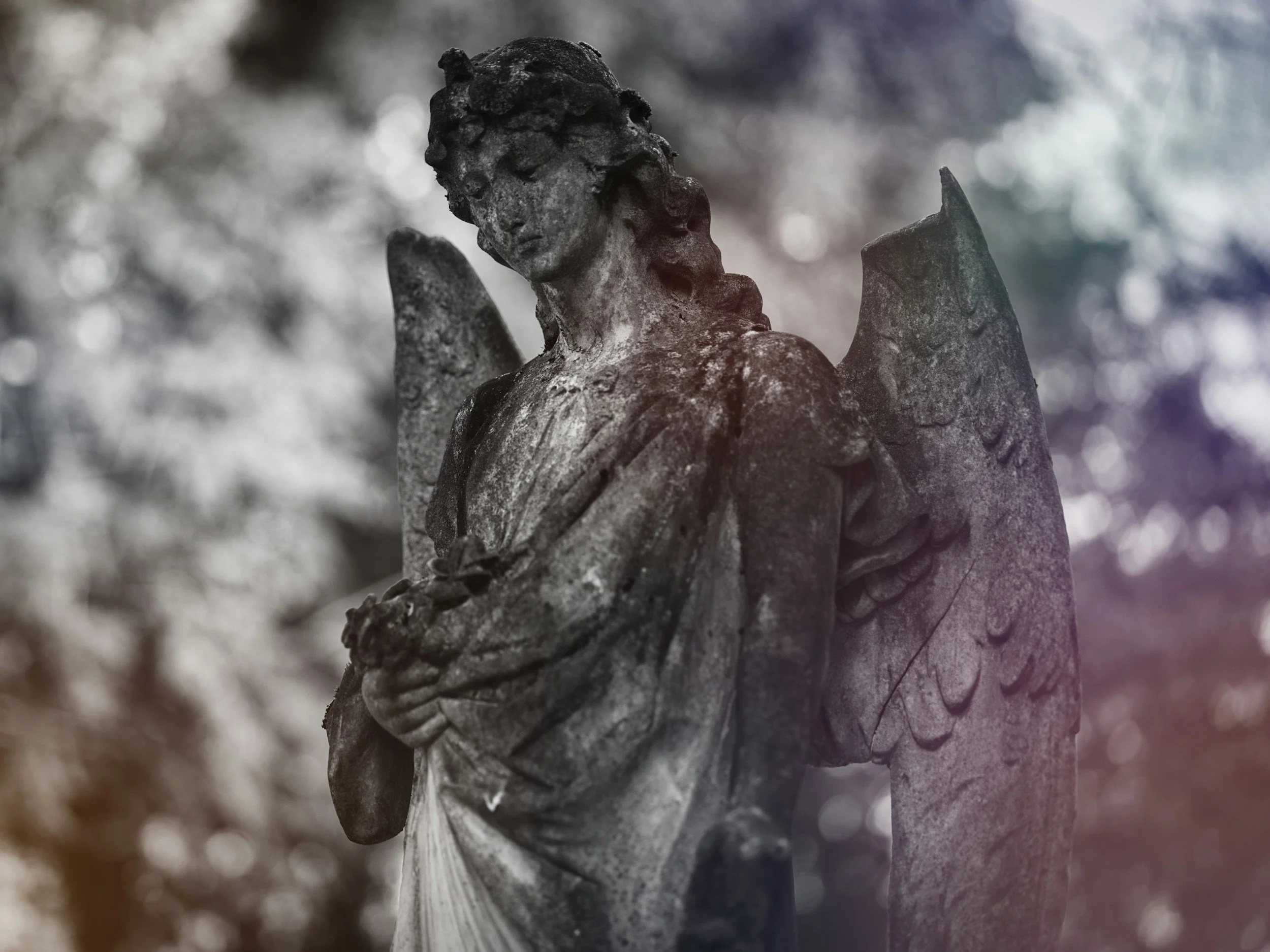 Close-up of an old, weathered angel sculpture with wings, with a blurred background of trees or foliage.