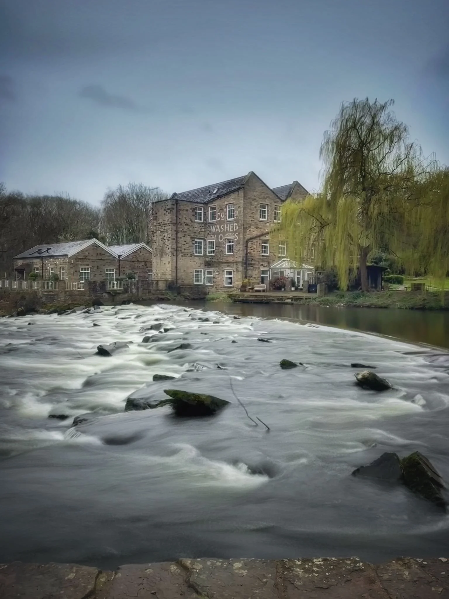 Phone Photography Walk ~ March