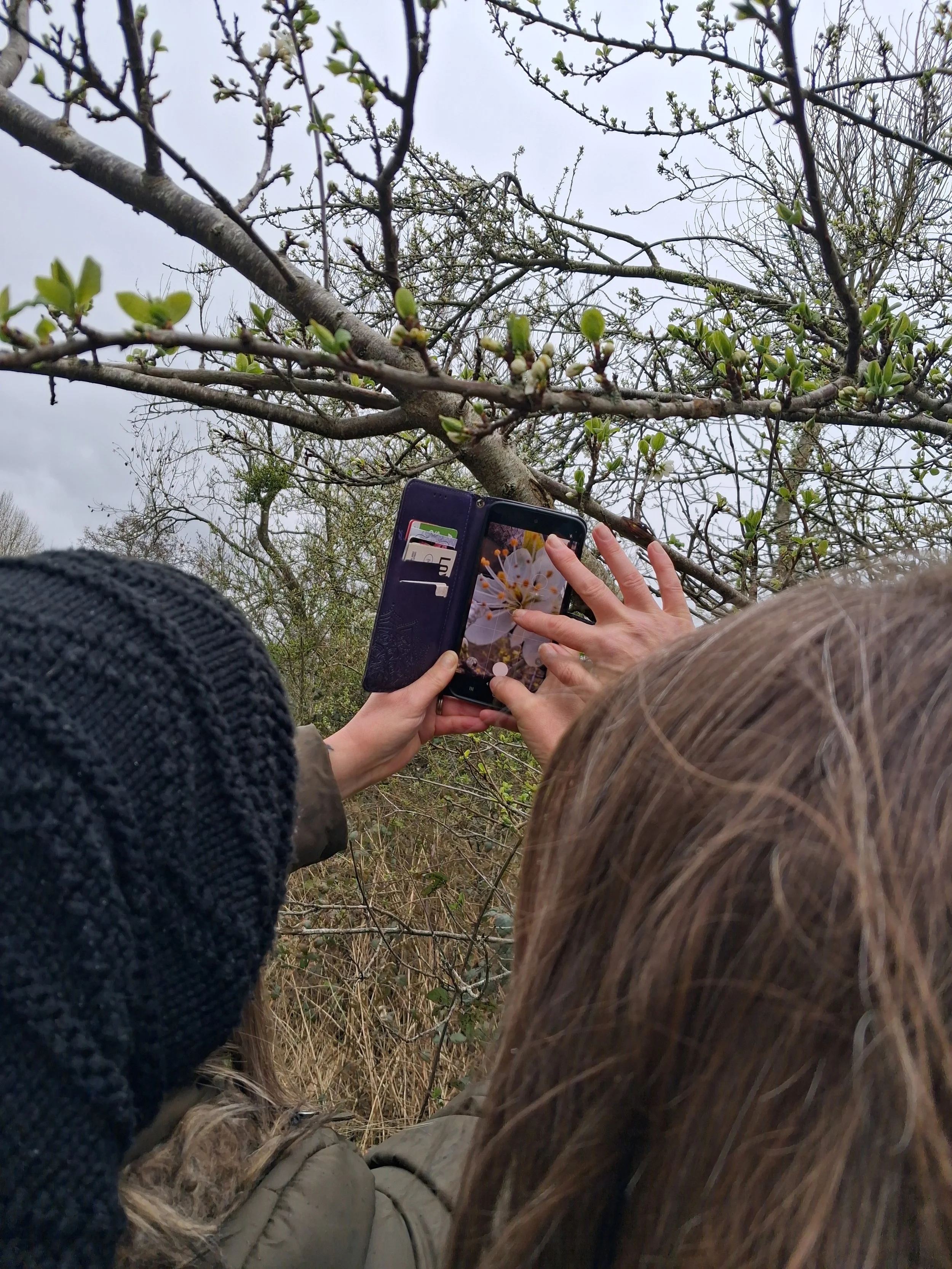 Guided Phone Photography Walk