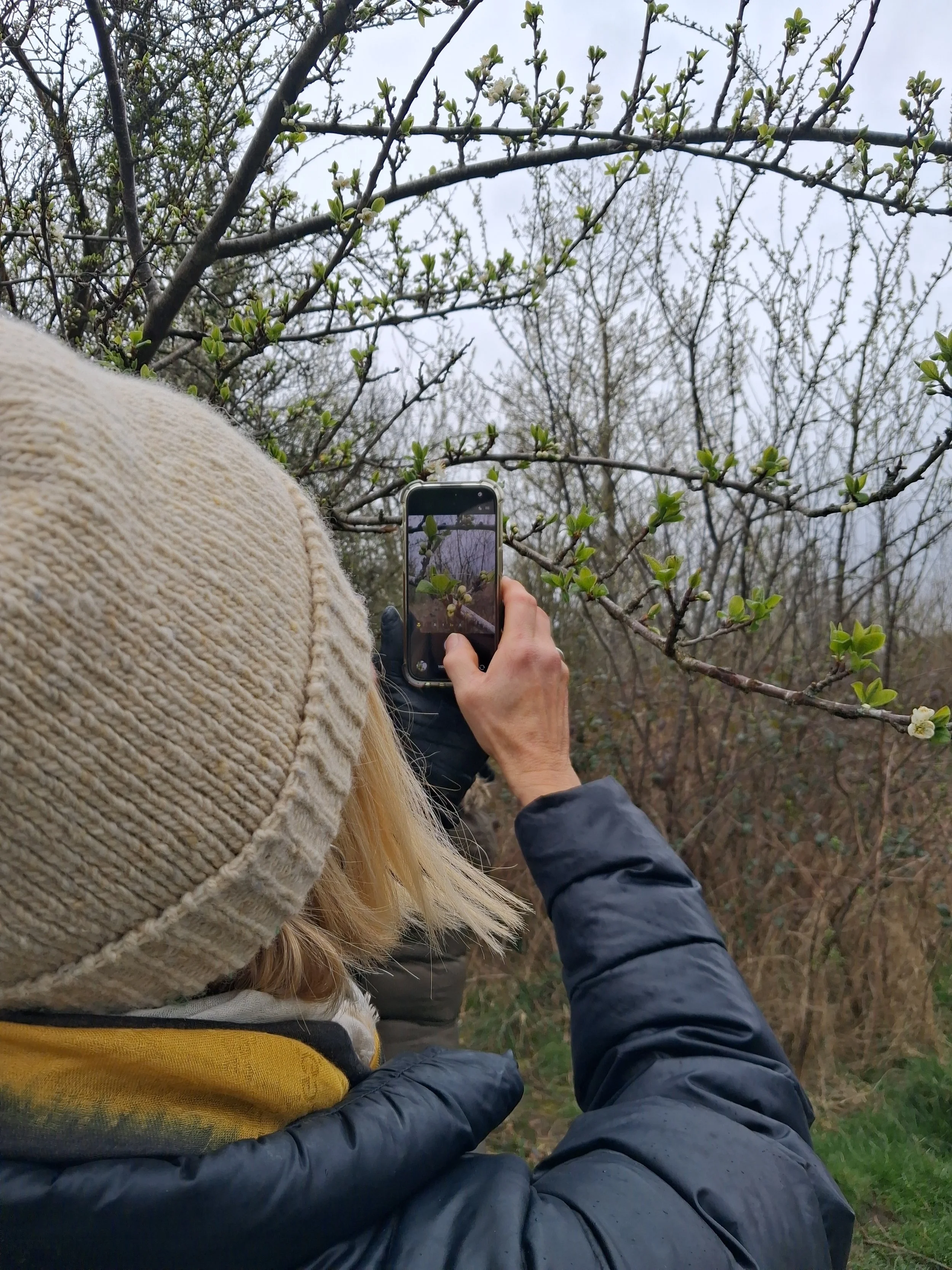 Phone Photography Walk Saltaire