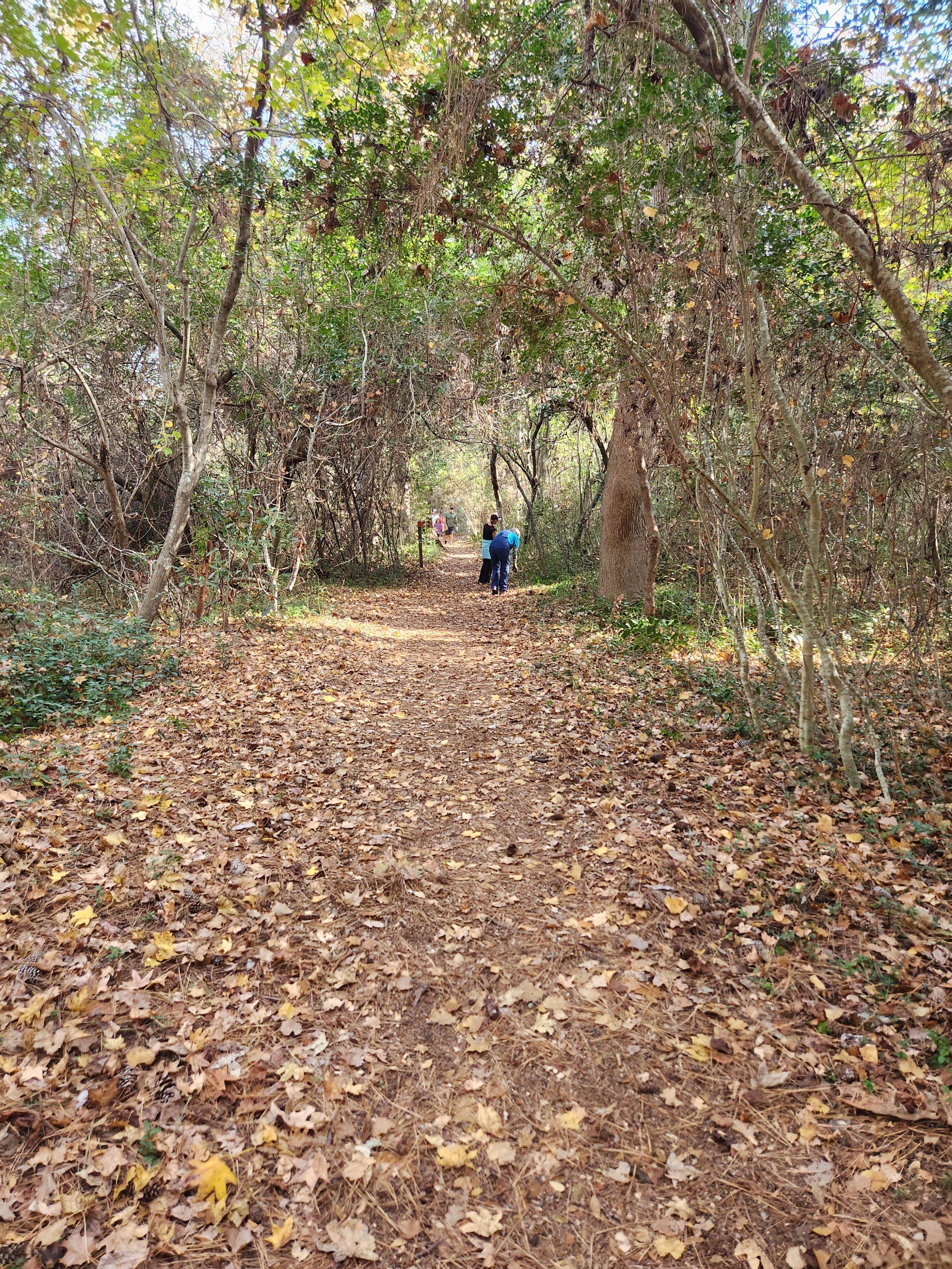  Second Saturday Trail Maintenance Carolina Beach State Park