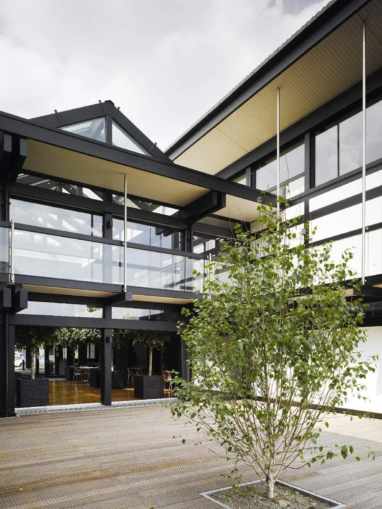 Back deck: a timber terrace with a birch tree beneath deep roof overhangs and glazed walls