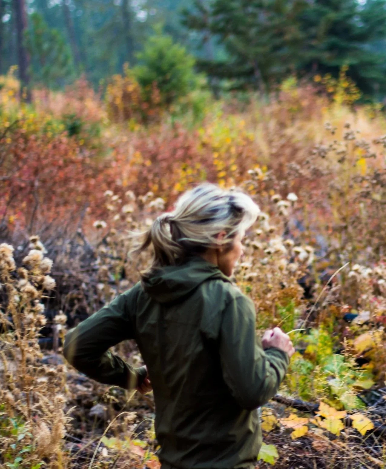 Candi trail running in autumn