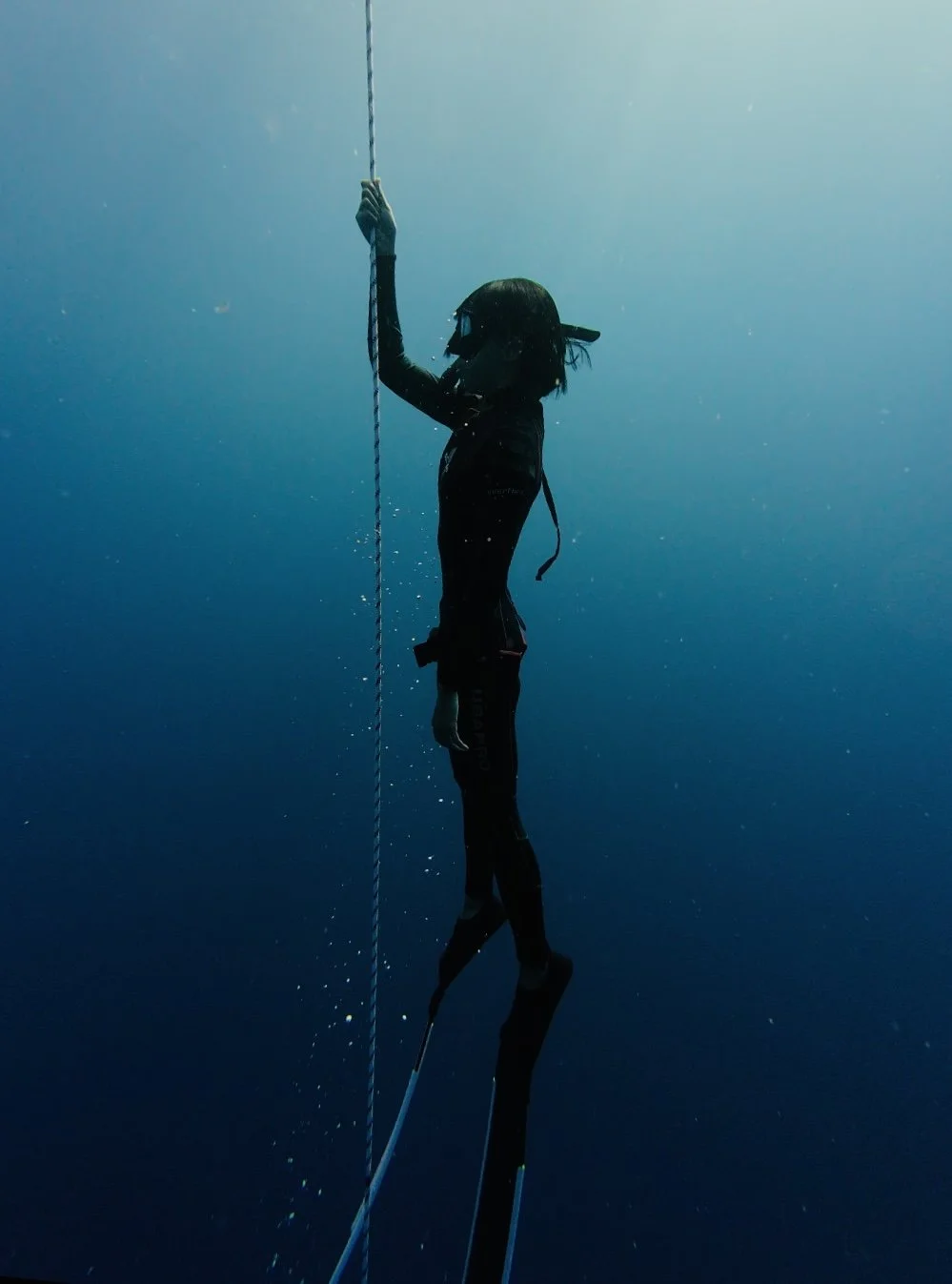 free diving ocean wilder life vibrate with city life