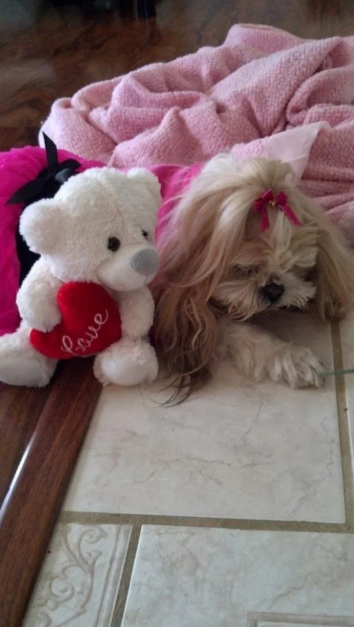 Missy and Bear.jpg
