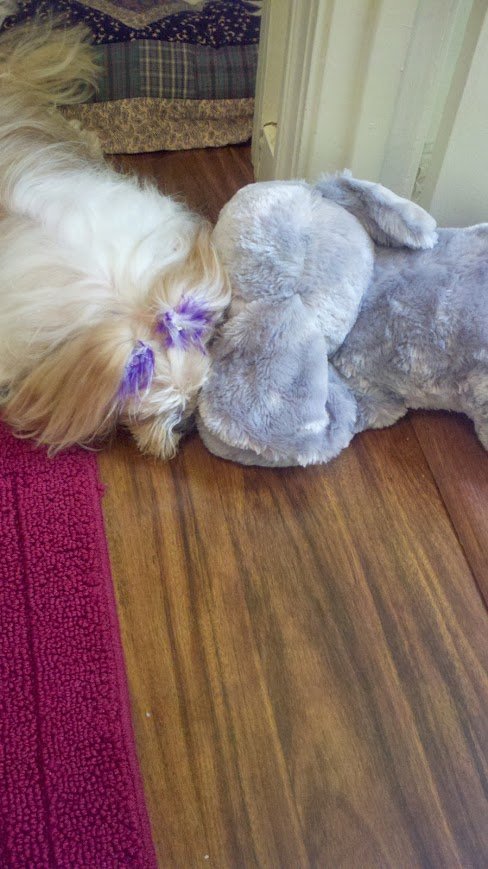 Missy and Elephant.jpg