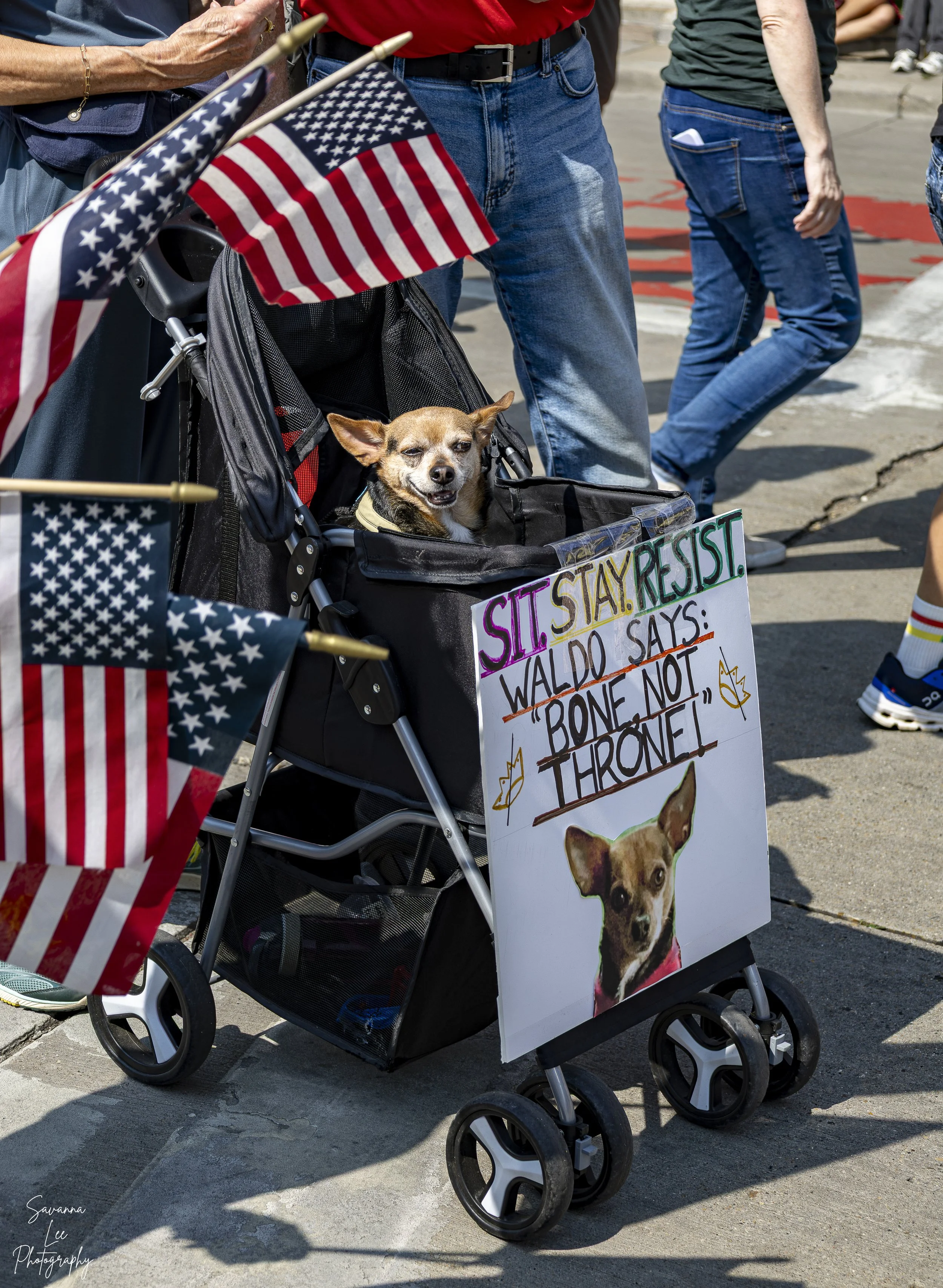 NO KINGS PROTEST_SAVANNA LEE_2025-28.jpg