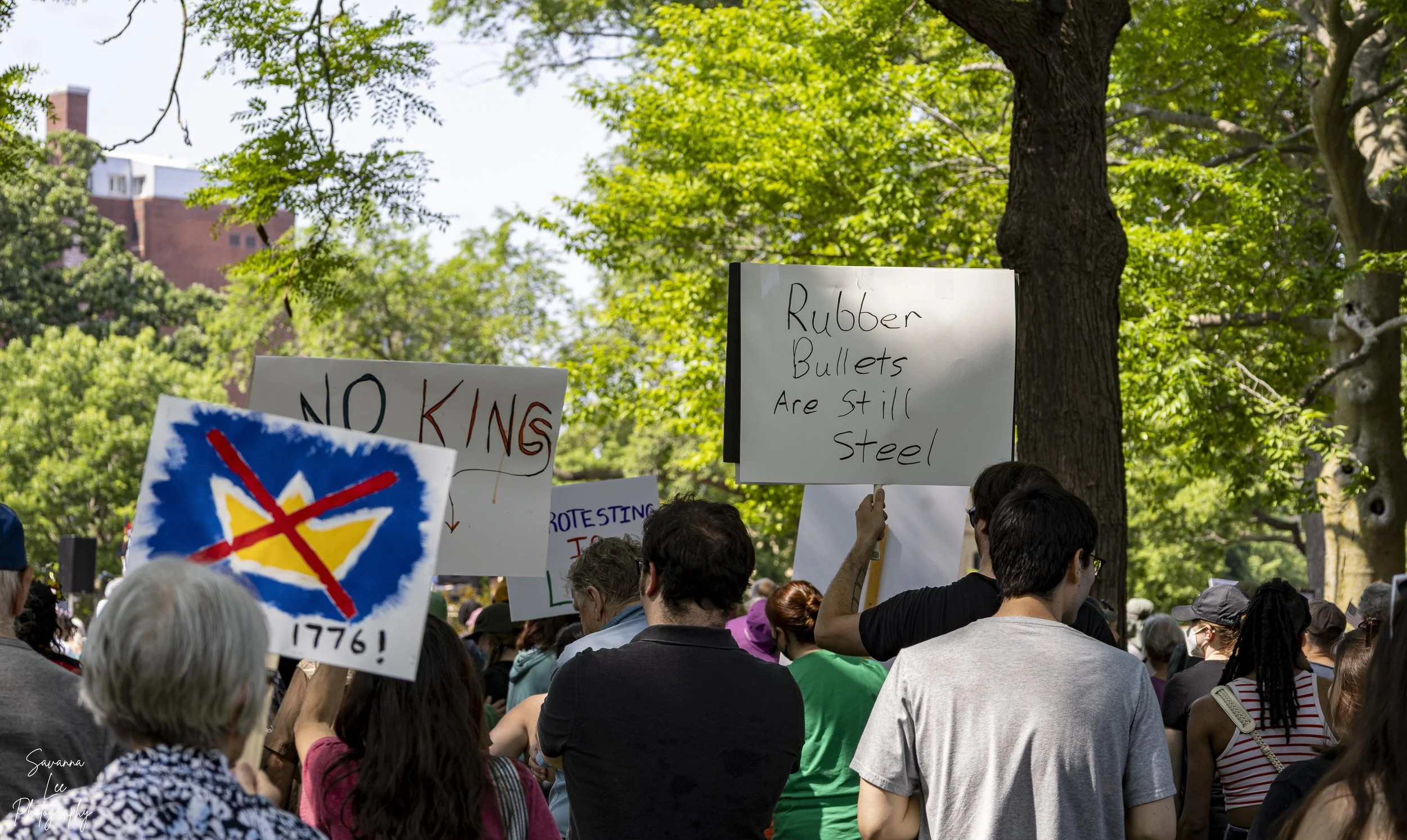 NO KINGS PROTEST_SAVANNA LEE_2025-3.jpg