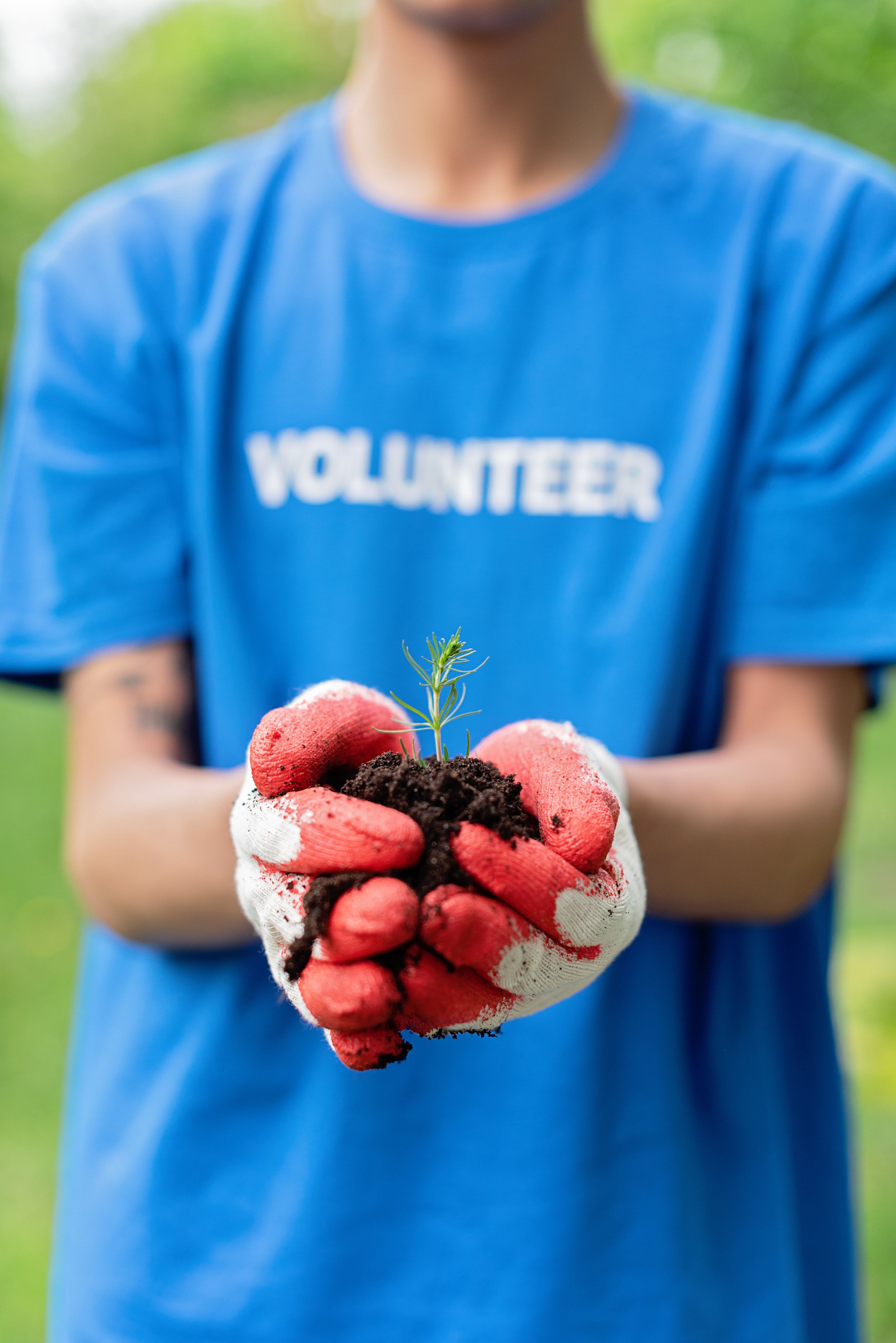 What Nonprofits Need From A Squarespace Website That Templates Miss