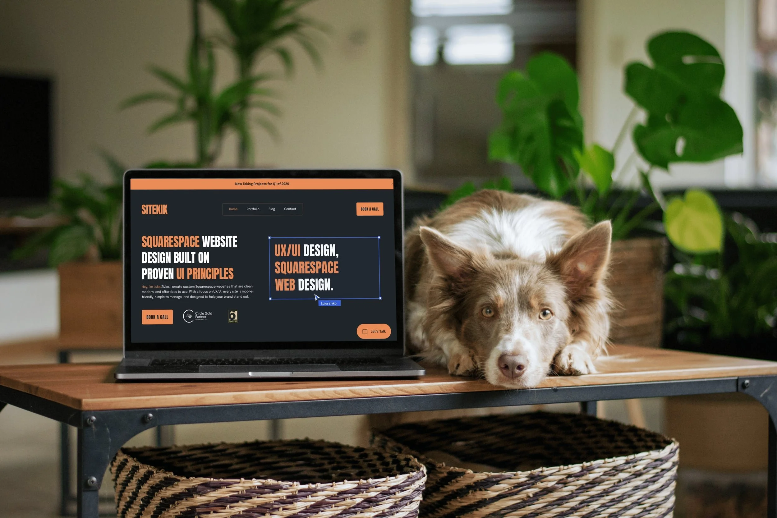 A laptop on a wooden table displays a website with black and orange design elements. Next to the laptop, a brown and white dog with long fur rests its head on the table, looking directly at the camera. The background features green plants and a room with light-colored walls.
