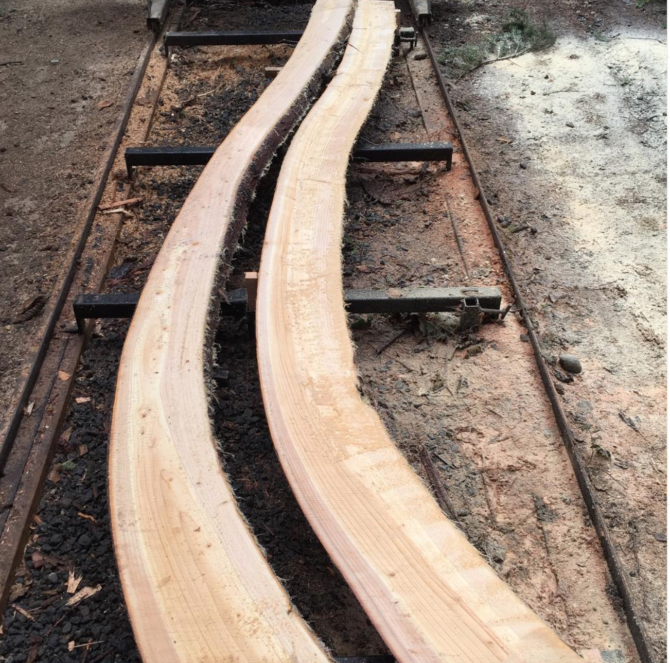 Doug Fir Split