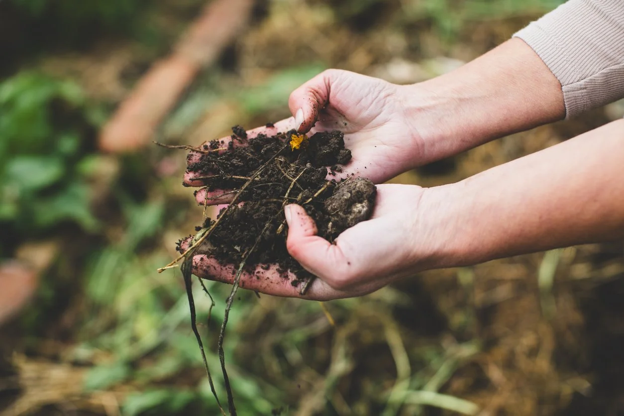 Why Carbon Is Not the Enemy of Regenerative Gardeners