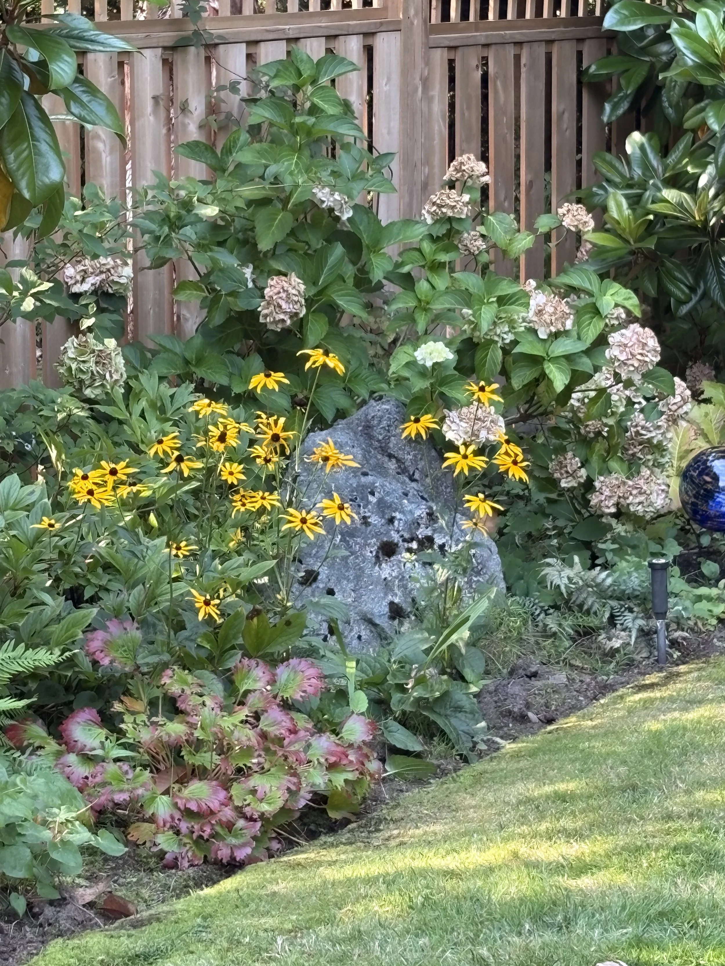 Garden Ecosystems 101: Biodiversity, Climate Change &amp; Regenerative Gardening