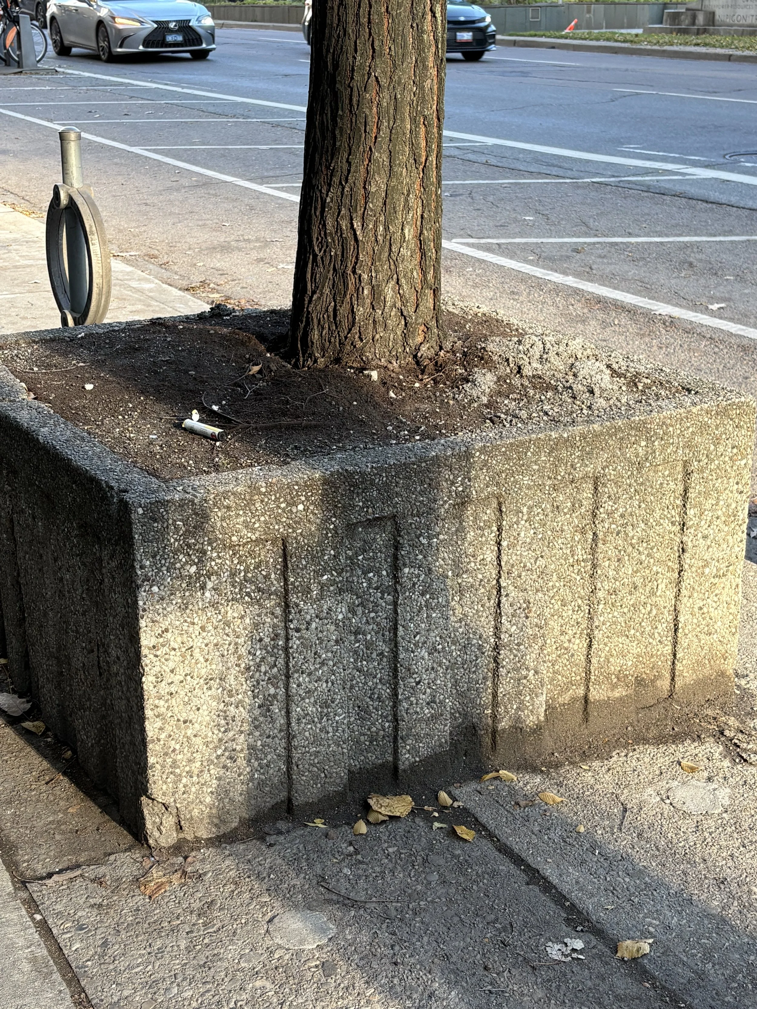 Street Trees: Are Urban Heat Islands the Best We Can Do?