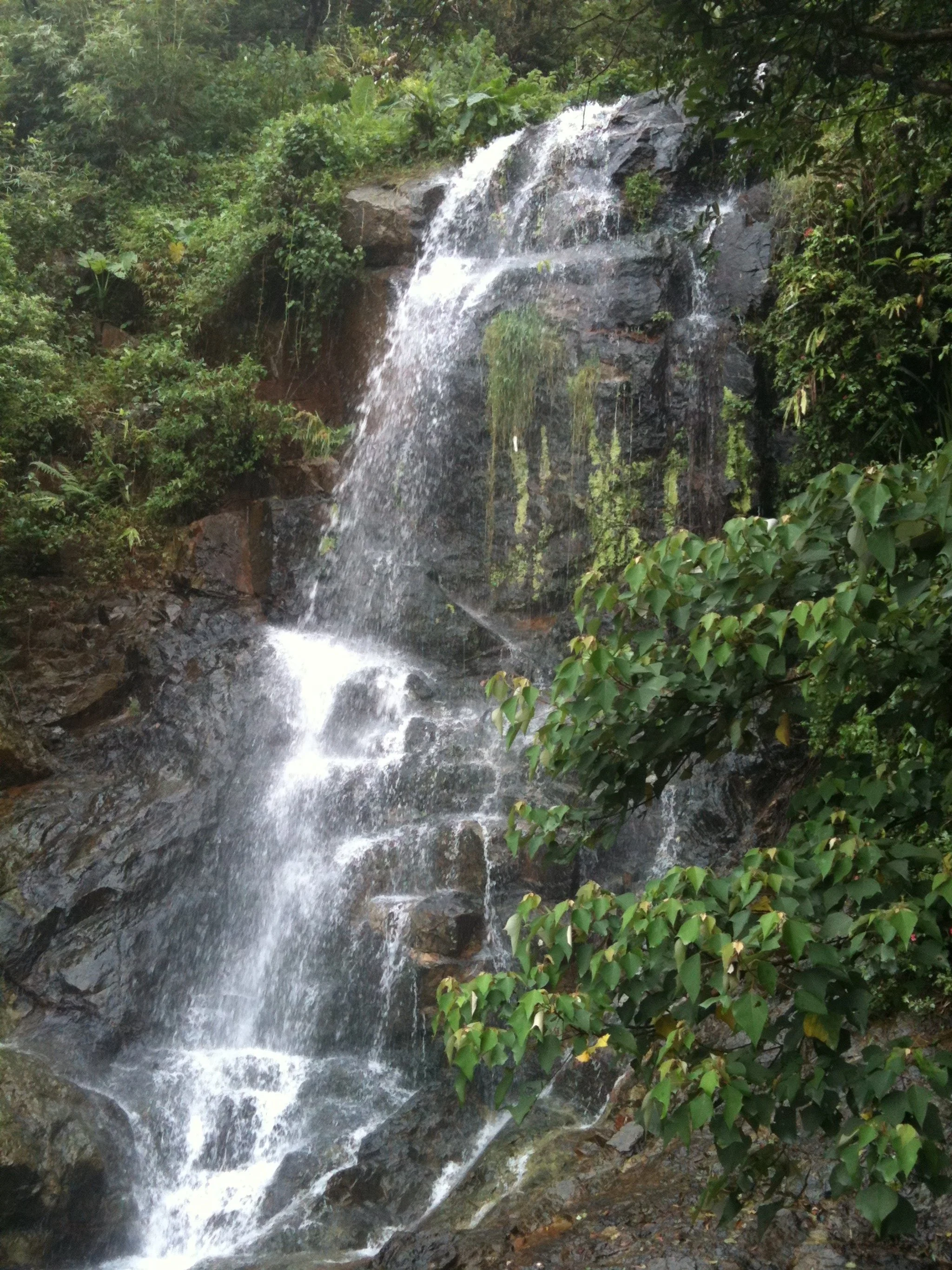 Extreme Weather and the New Reality for Gardeners