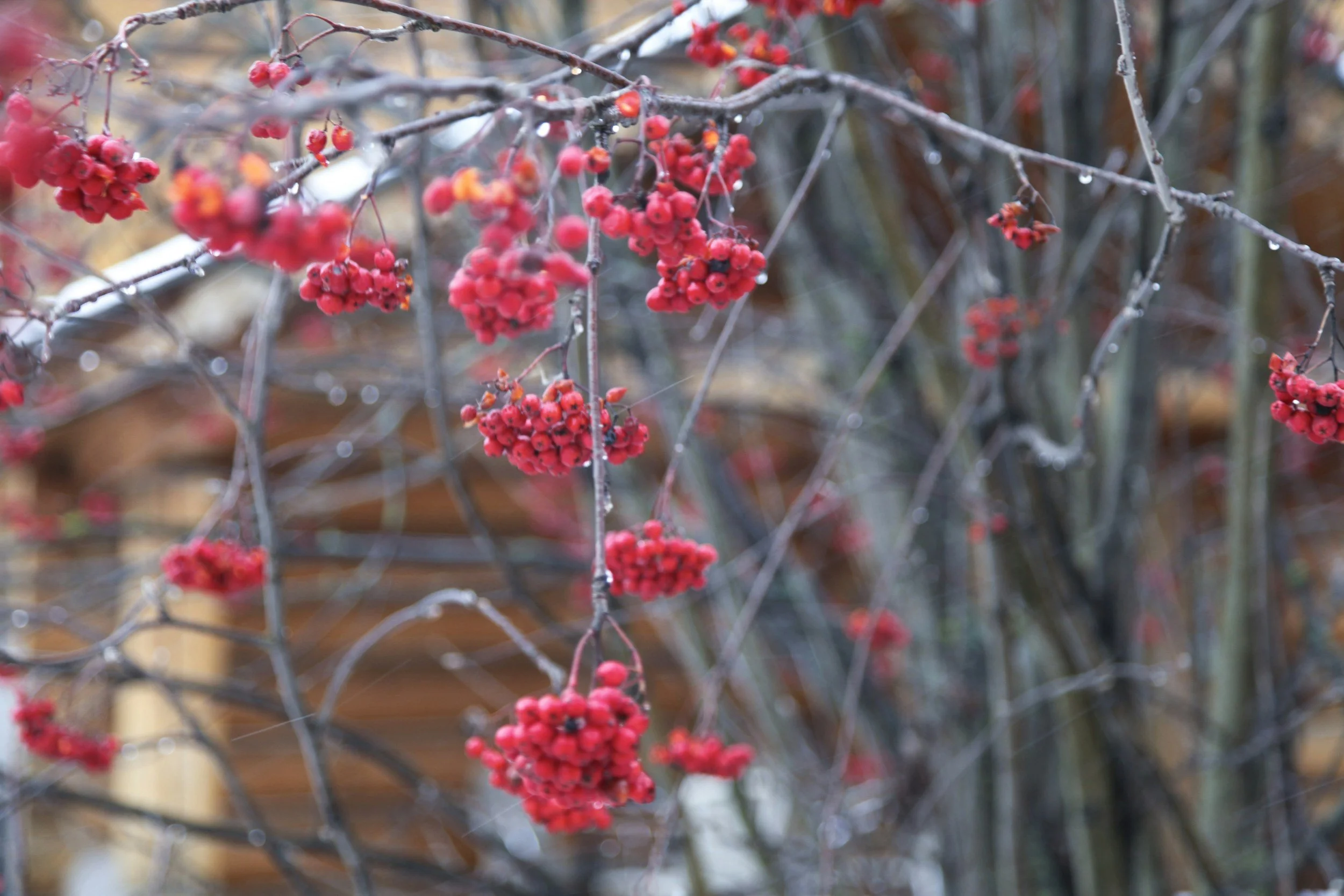 An invitation for 2026