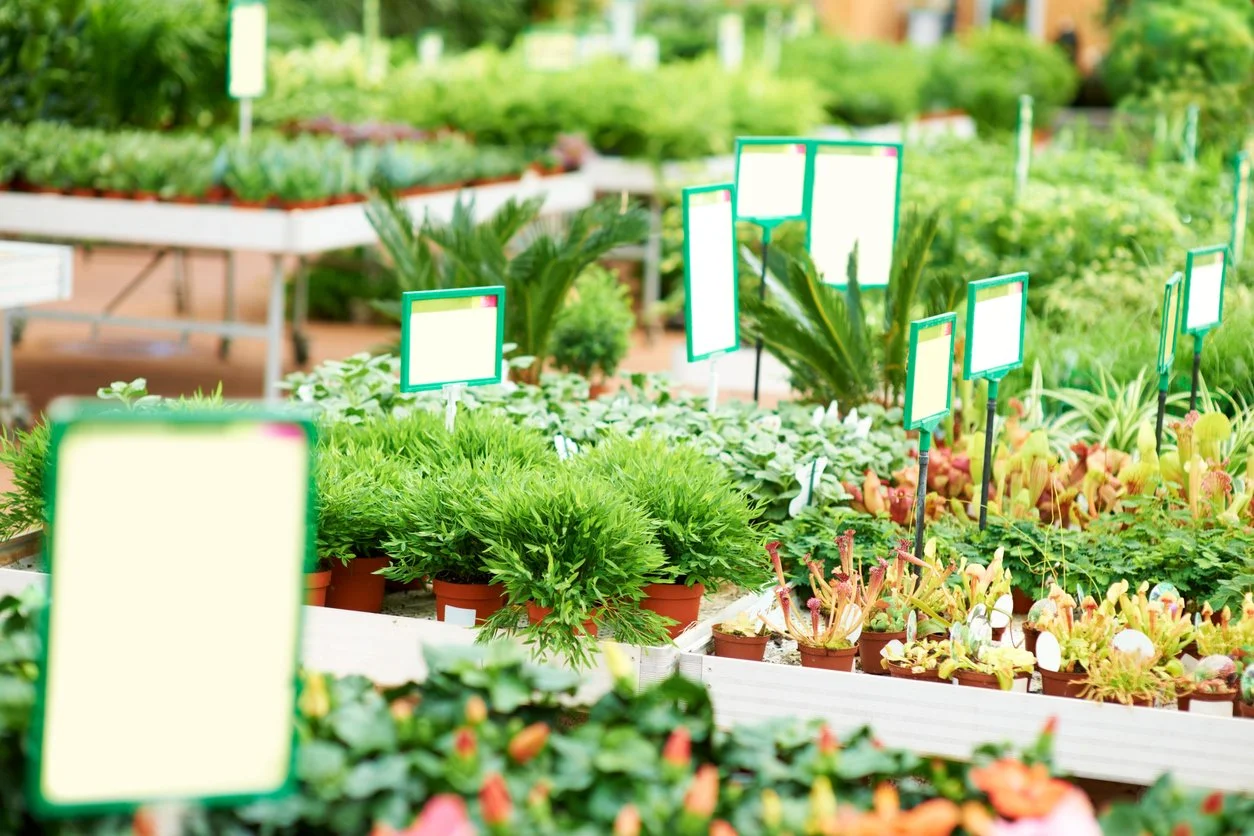 Why Buying Different Plants Isn’t Enough to Build Climate Resilient Gardens