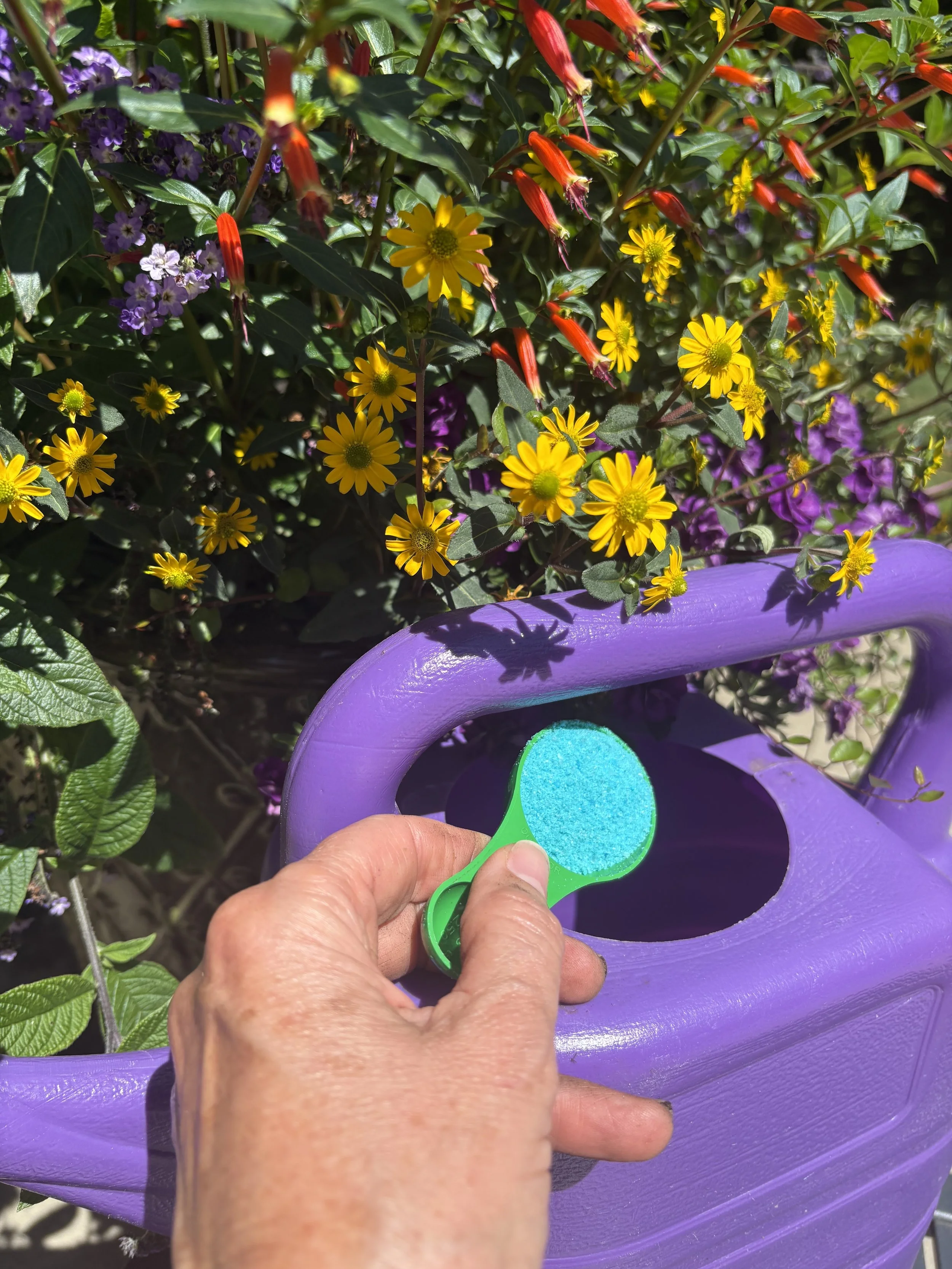 Do Eco-Conscious Gardens Need Fertilizer? The Answer Isn't Black and White