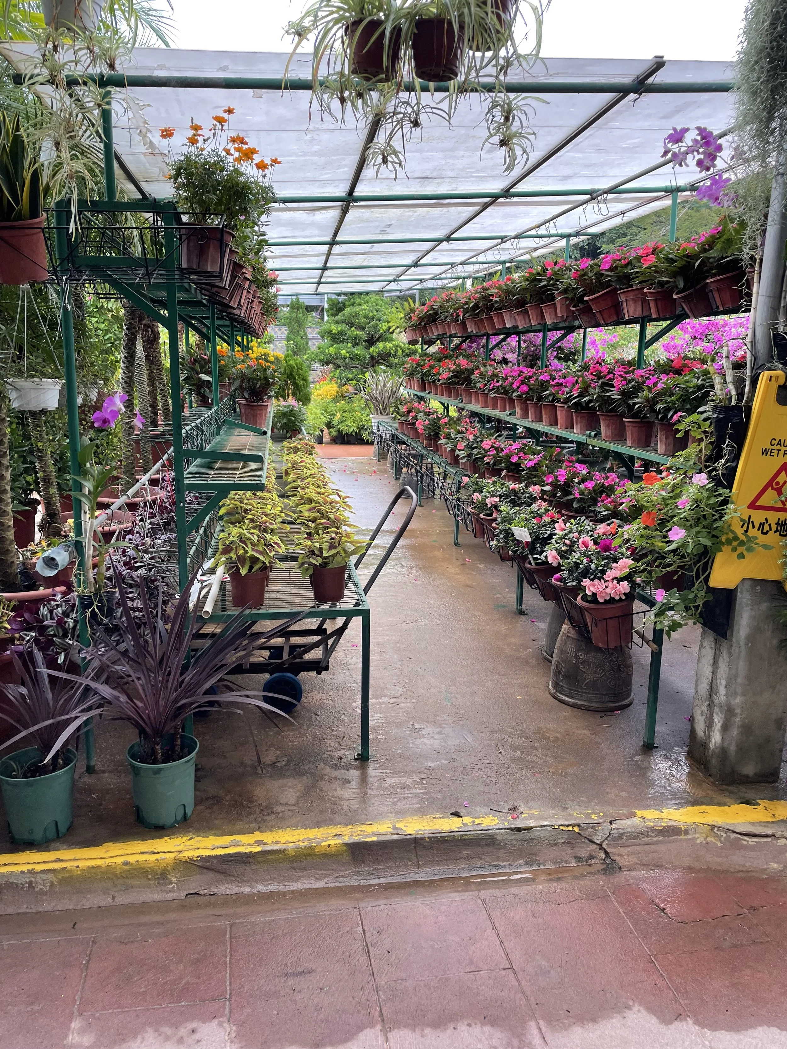 Greenwashing in Gardening: How to Shop More Intentionally