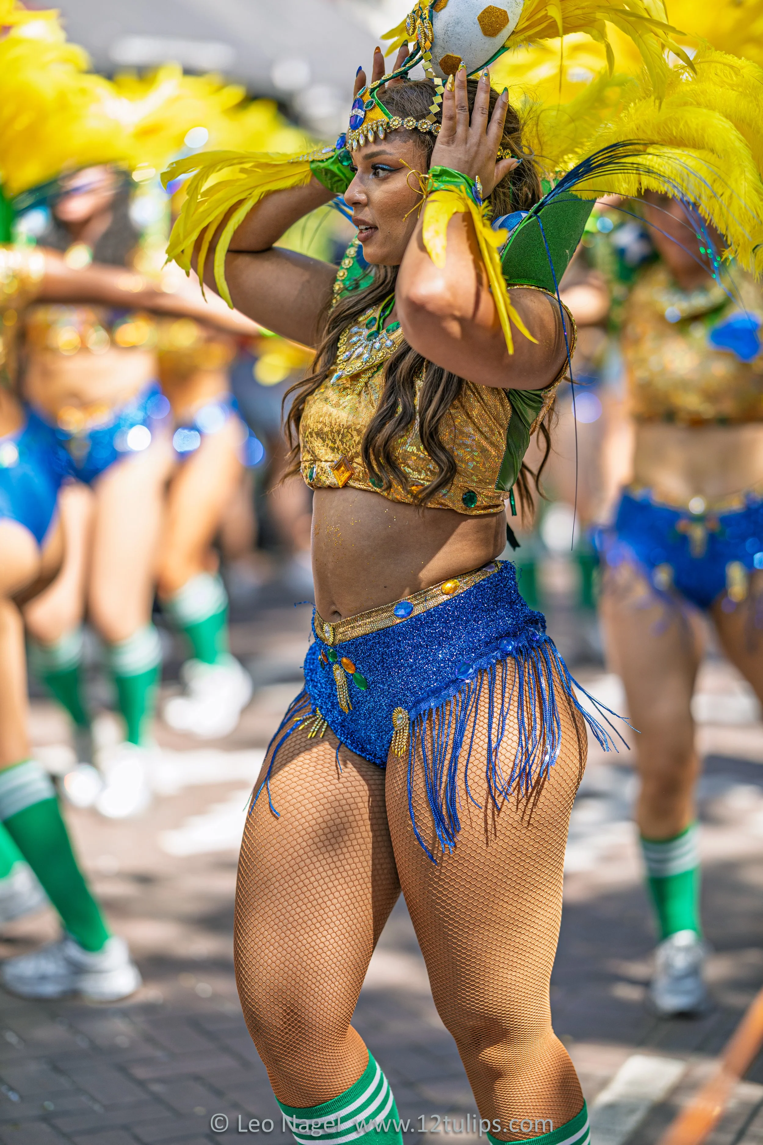IMG_4536.jpg