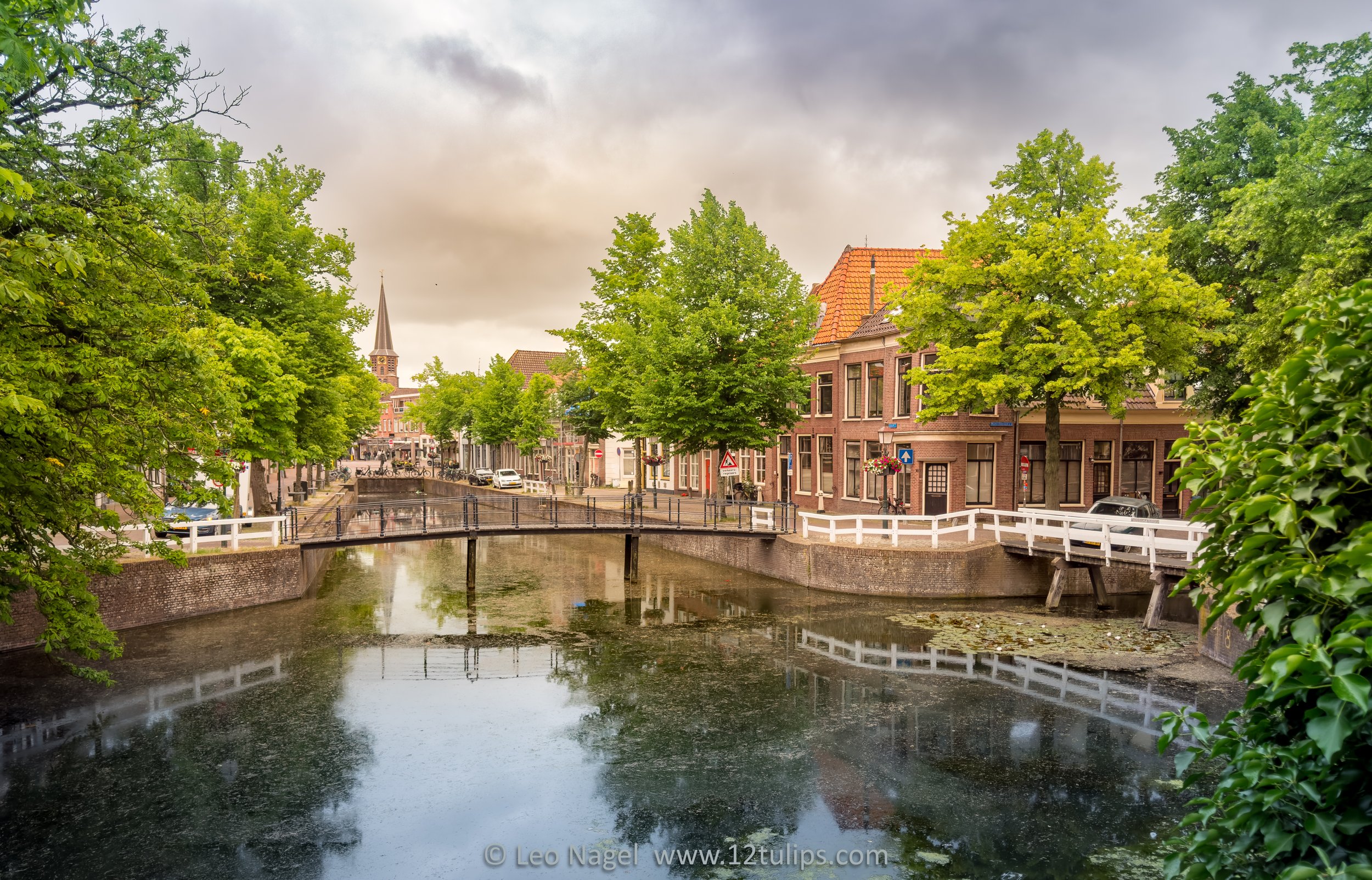 IMG_6558-HDR.jpg