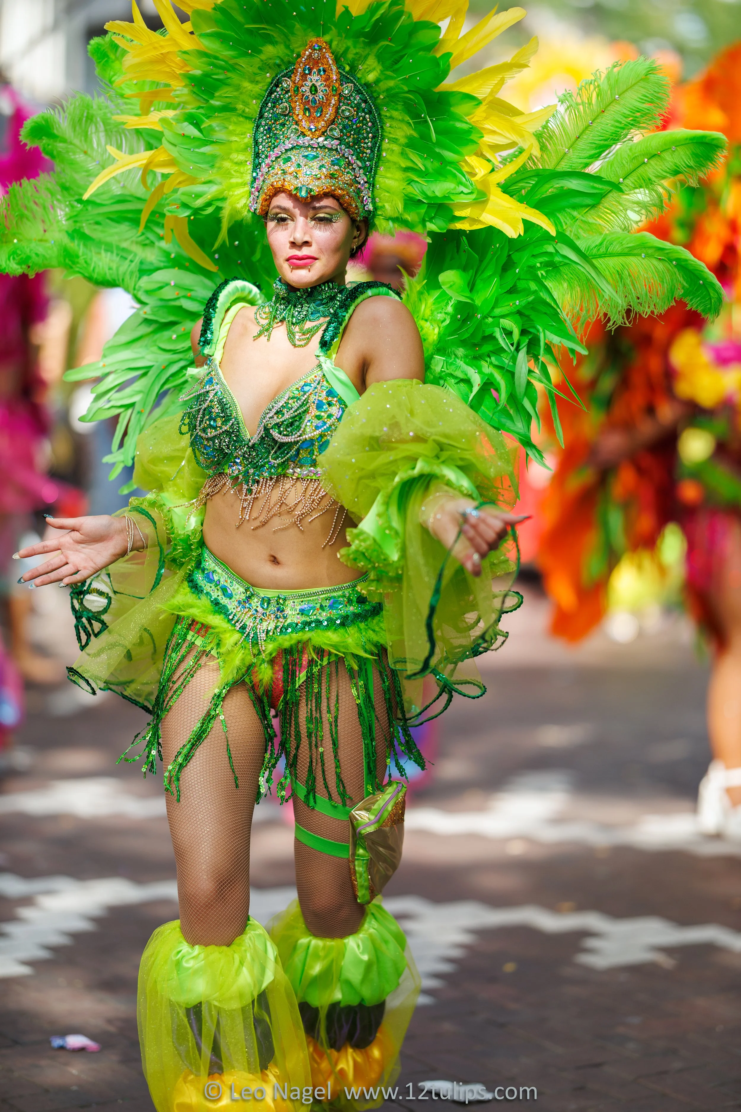 IMG_5016.jpg