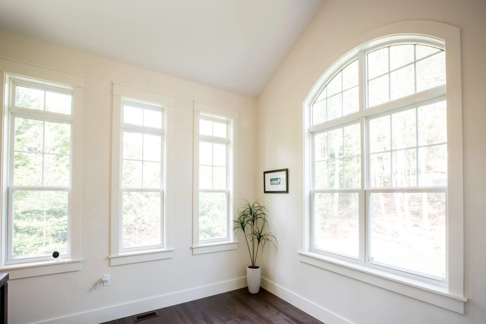Saskatoon windows 2.jpg