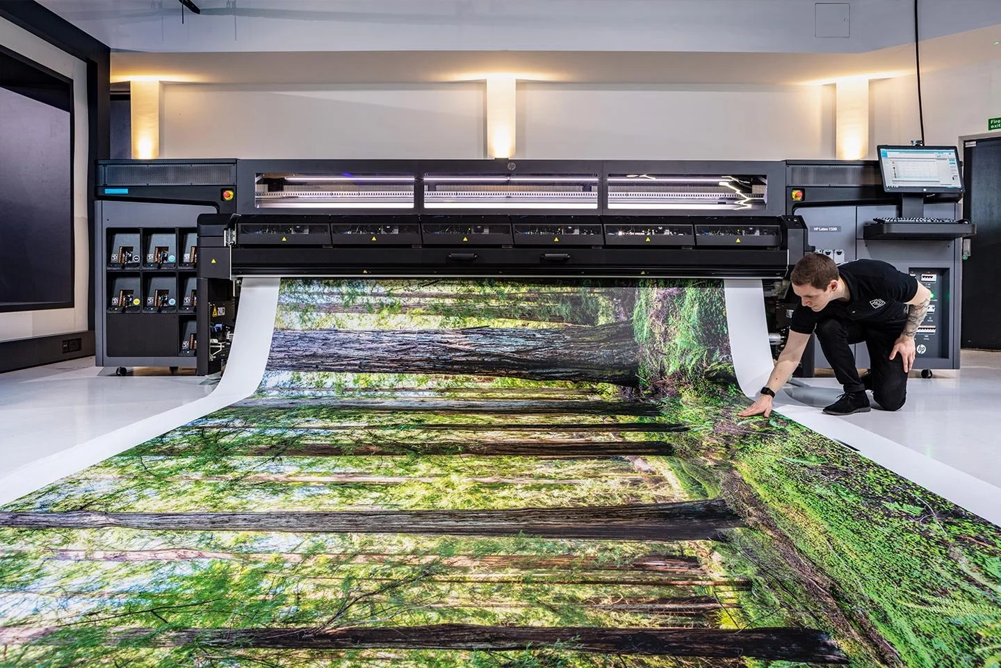 Commercial wall graphics installation by Sign Digital