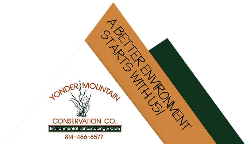 Yonder Mountain Conservation LLC (2).webp