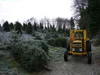 Greenmount christmas tree farm