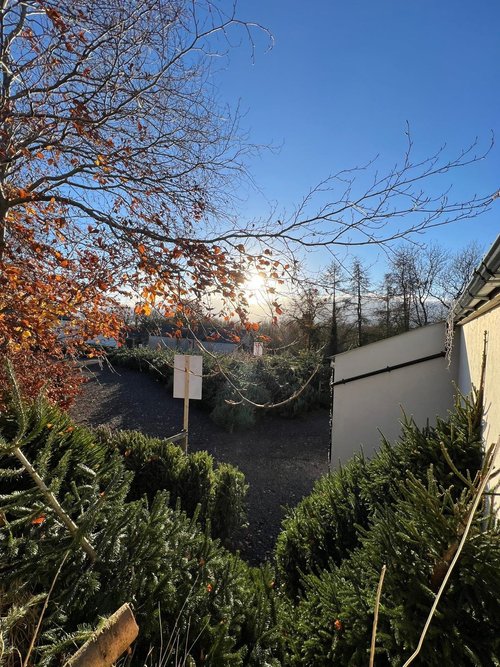 Greenmount christmas tree farm