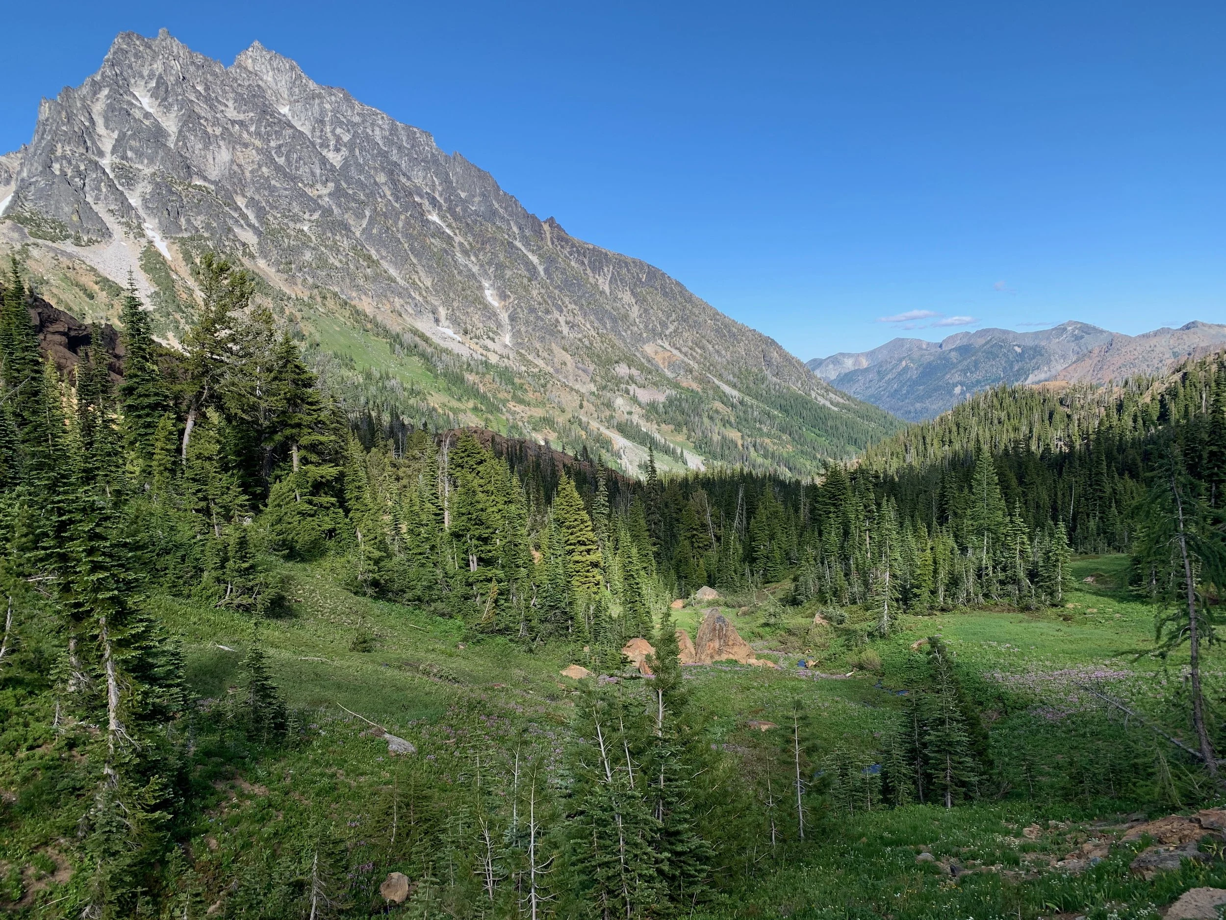 There's a daytime view of the Mountain known as Stuart