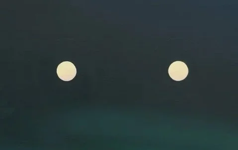 Sarah Pater - UNDERSEA CABLE (GREEN AND BLACK) | 20 x 16 inches / 51 x 41 cm, oil and wax on canvas over panel, 2024