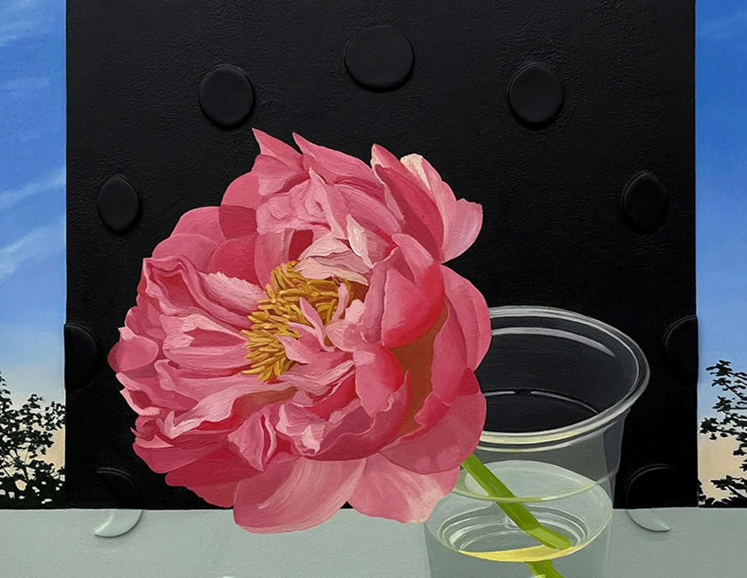 SARAH PATER
