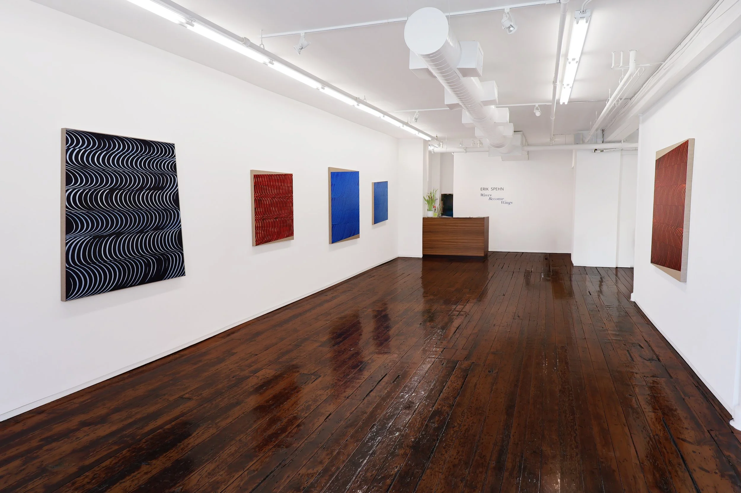 Waves Become Wings_Installation 3.jpg