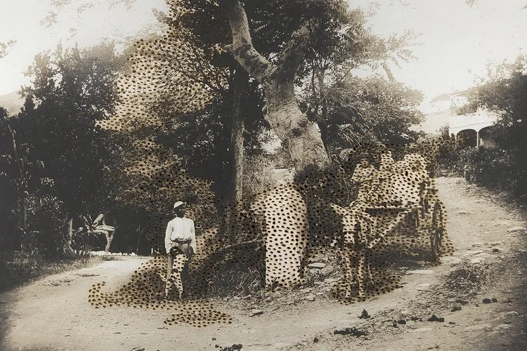 SWARM (003_2023) | 24 x 36 inches / 60.96 x 91.44 cm - framed 30.5 x 42.5 inches / 77.47 x 107.95 cm, cuts and burn on printed photographs, edition 1/1, 2023