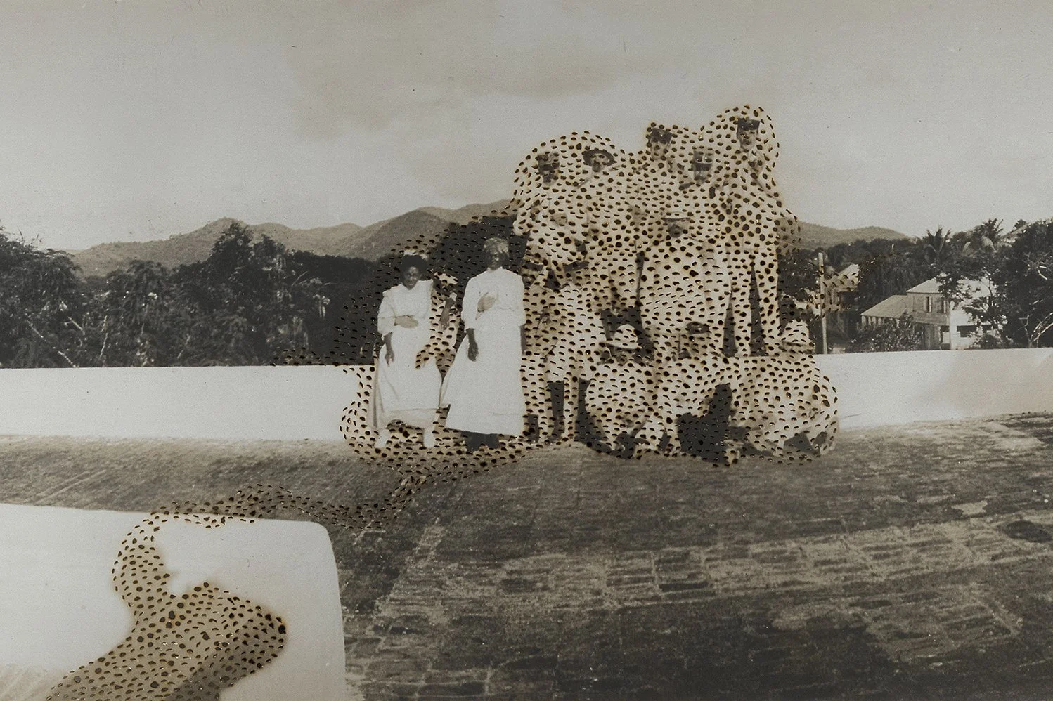 Swarm (005_2023), 24 x 36 inches / 60.96 x 91.44 cm - framed 30.5 x 42.5 inches / 77.47 x 107.95 cm, cuts and burn on printed photographs, edition 1/1, 2023